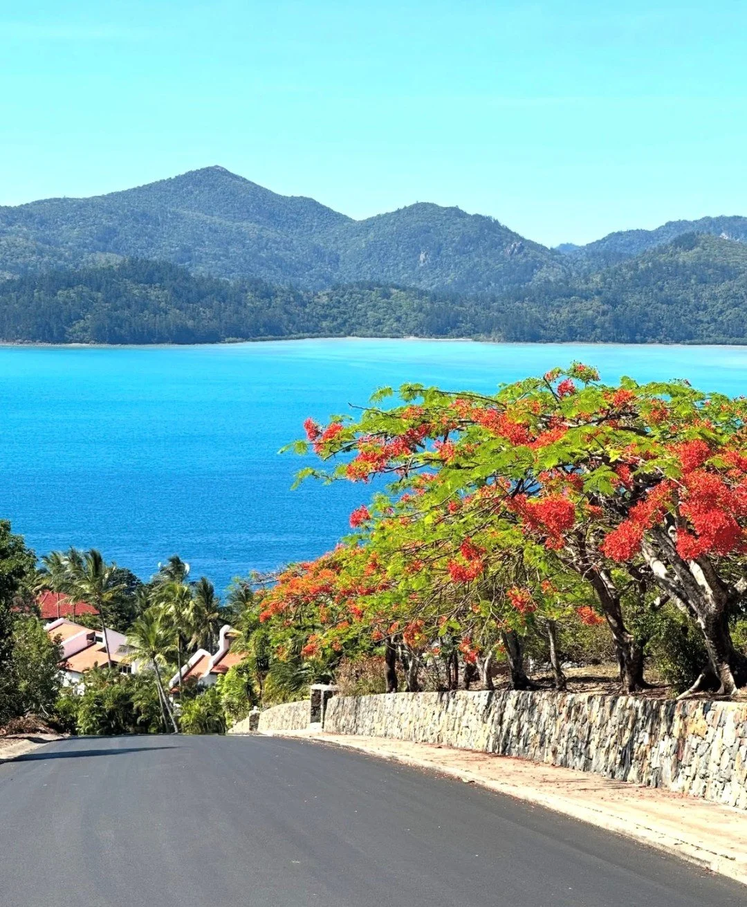 Considering securing a slice of your own paradise on Australia&rsquo;s most iconic island destination - Hamilton Island? You know who to reach! 

#WhitsundaysPropertyBuyers #HamiltonIsland #Investement #Lifestyle