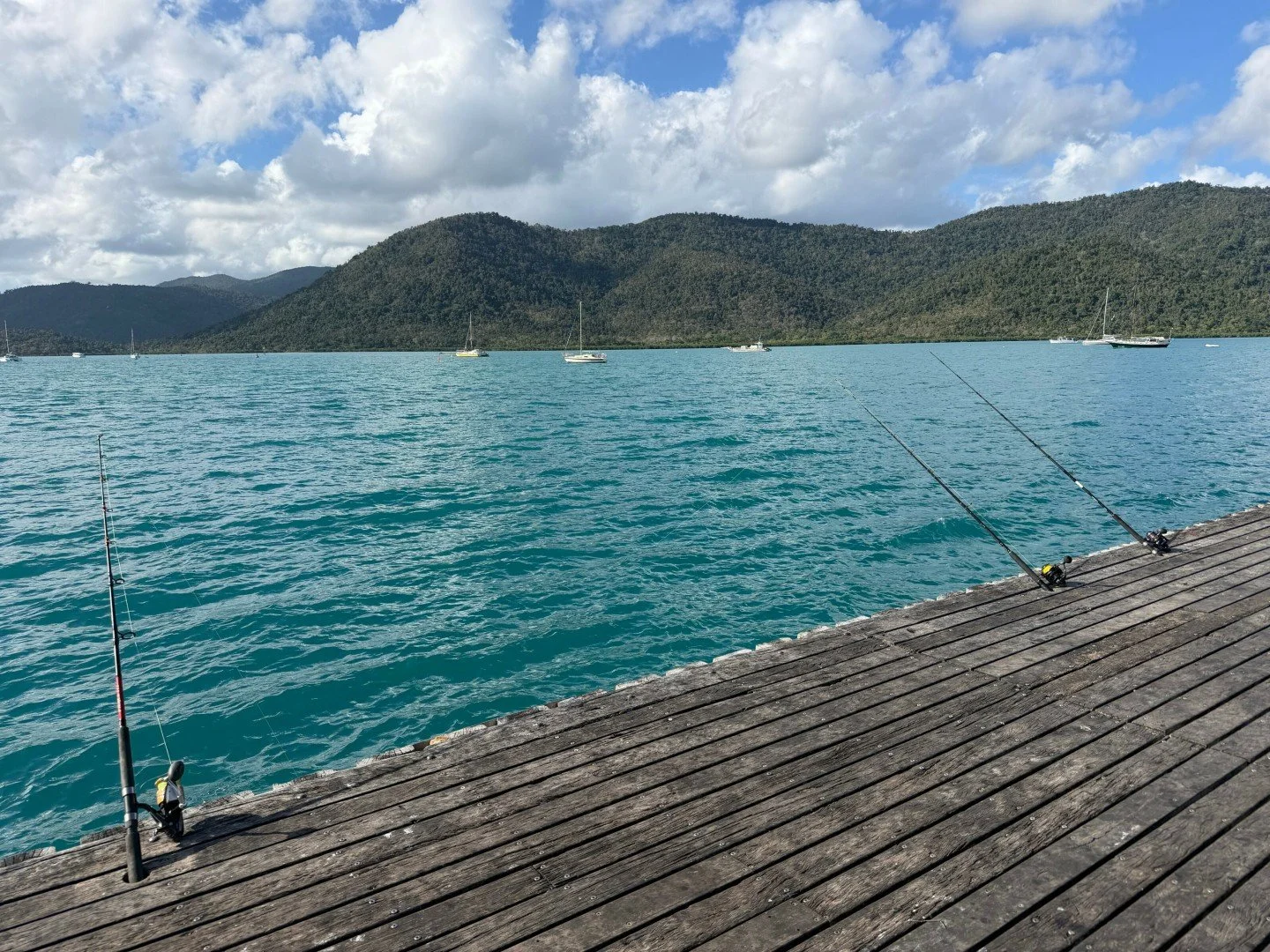 One of Lara&rsquo;s favourite spots, the fishing wharf down at Shute Harbour. Salt air, quiet moments, and that feeling of time slowing down 🎣

#ShuteHarbour #Whitsundays #Jetty #AirlieBeach #WhitsundaysPropertyBuyers