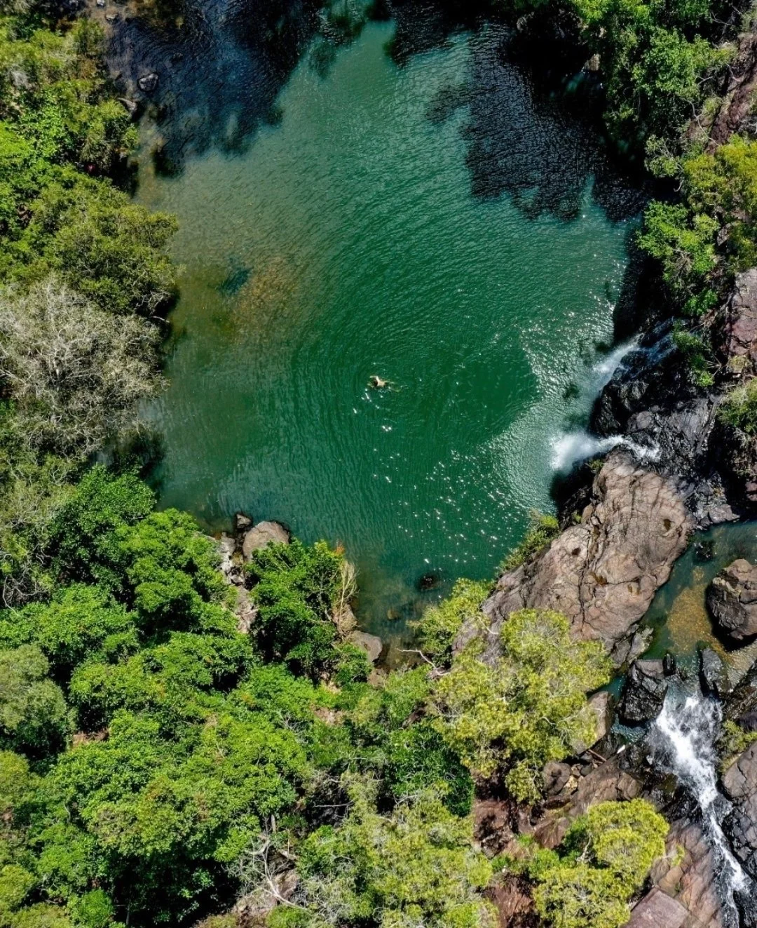 Cedar Creek Falls - A reminder that the Whitsundays aren&rsquo;t just seen from the water&hellip; sometimes the magic is tucked inland, waiting for a short walk and a long pause. 

#CedarCreekFalls #Whitsundays #WaterHole #WaterFall #WhitsundaysPrope