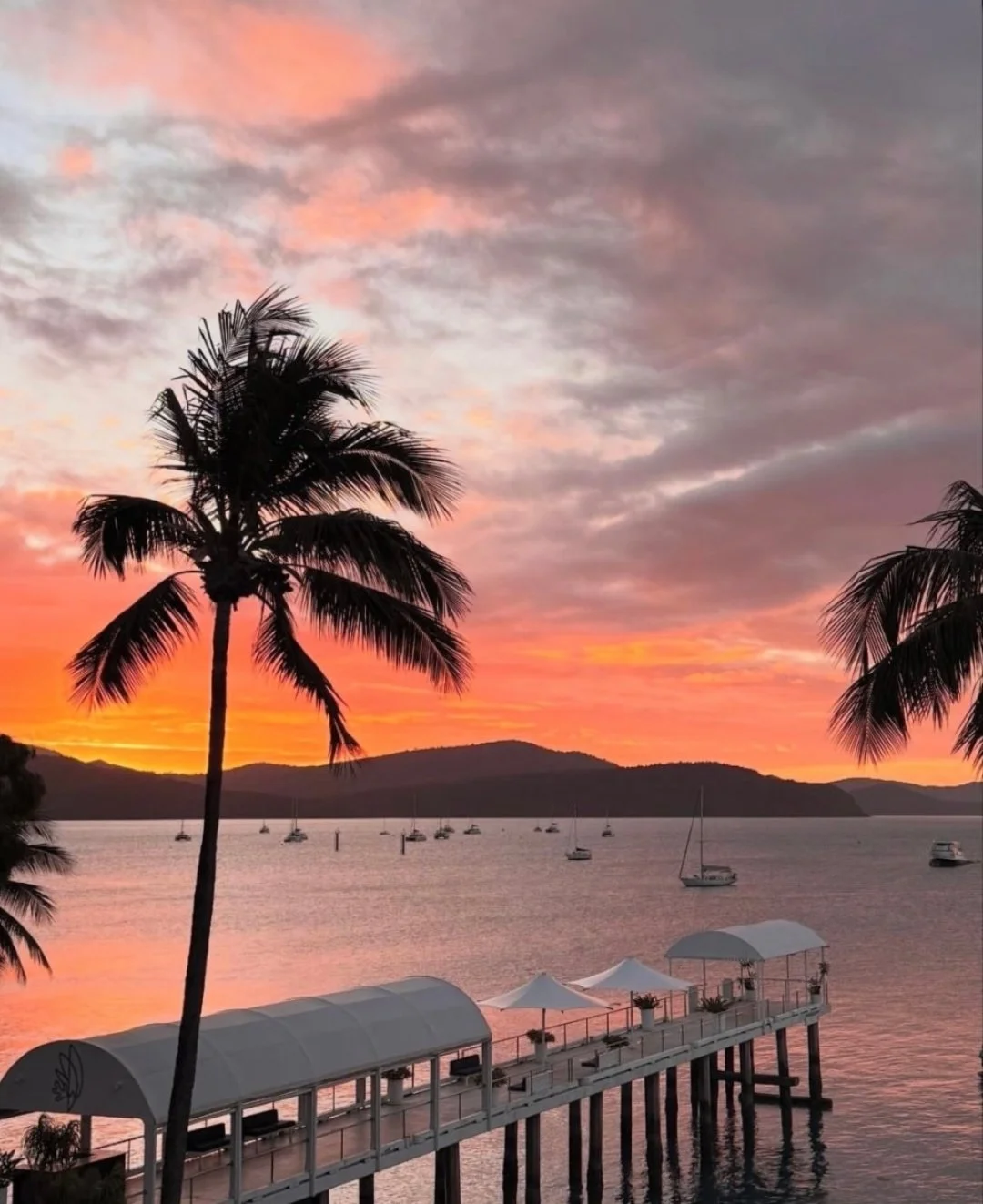 Based in paradise. Driven by your goals.

As the first dedicated Buyers Agency in the Whitsundays, we don&rsquo;t just understand this market - we&rsquo;re part of it. Whether you're making the move for a sea change or investing in one of Australia&r