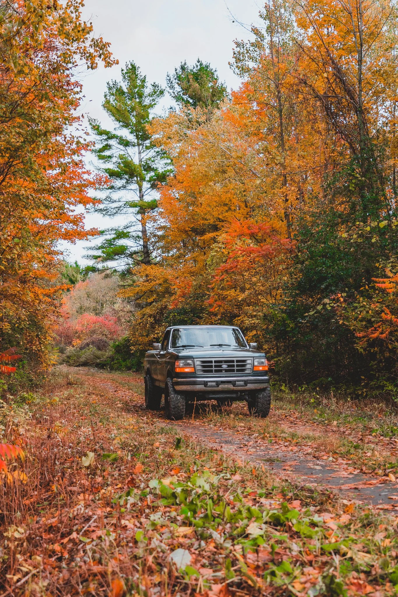 _DSC8802.jpg