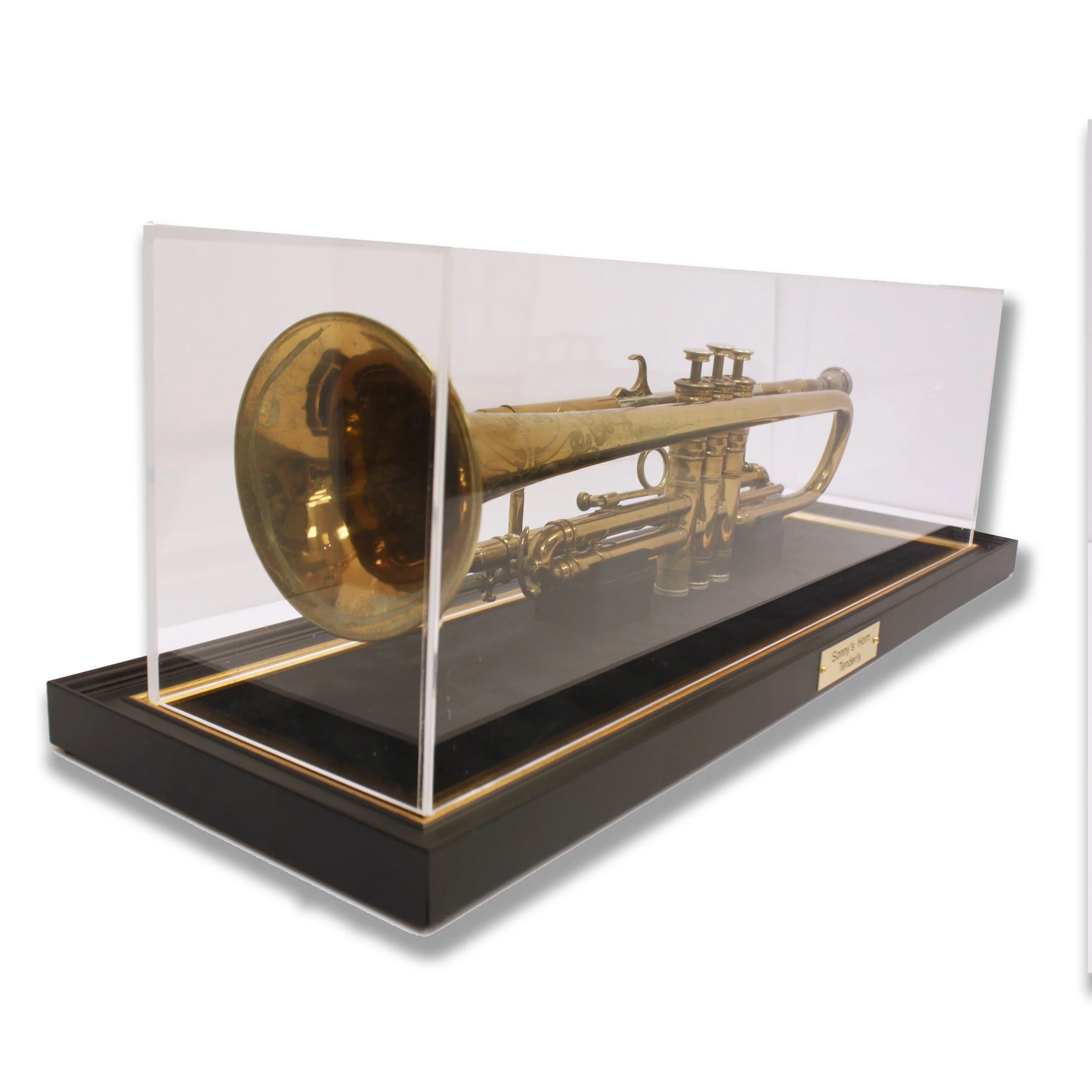 Trumpet Instrument Display Frame Case Shadowbox.jpg