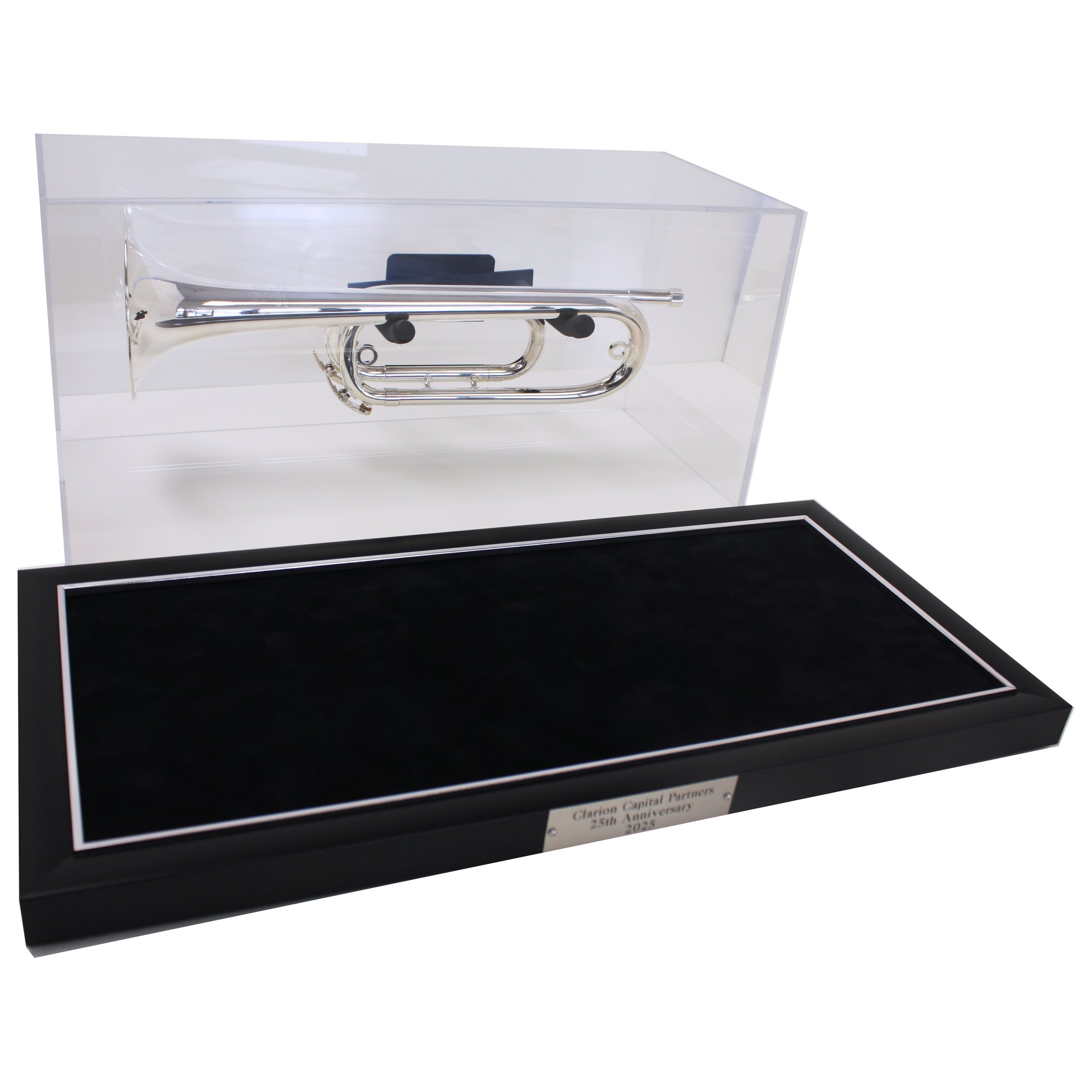 Trumpet Display Case open.jpg