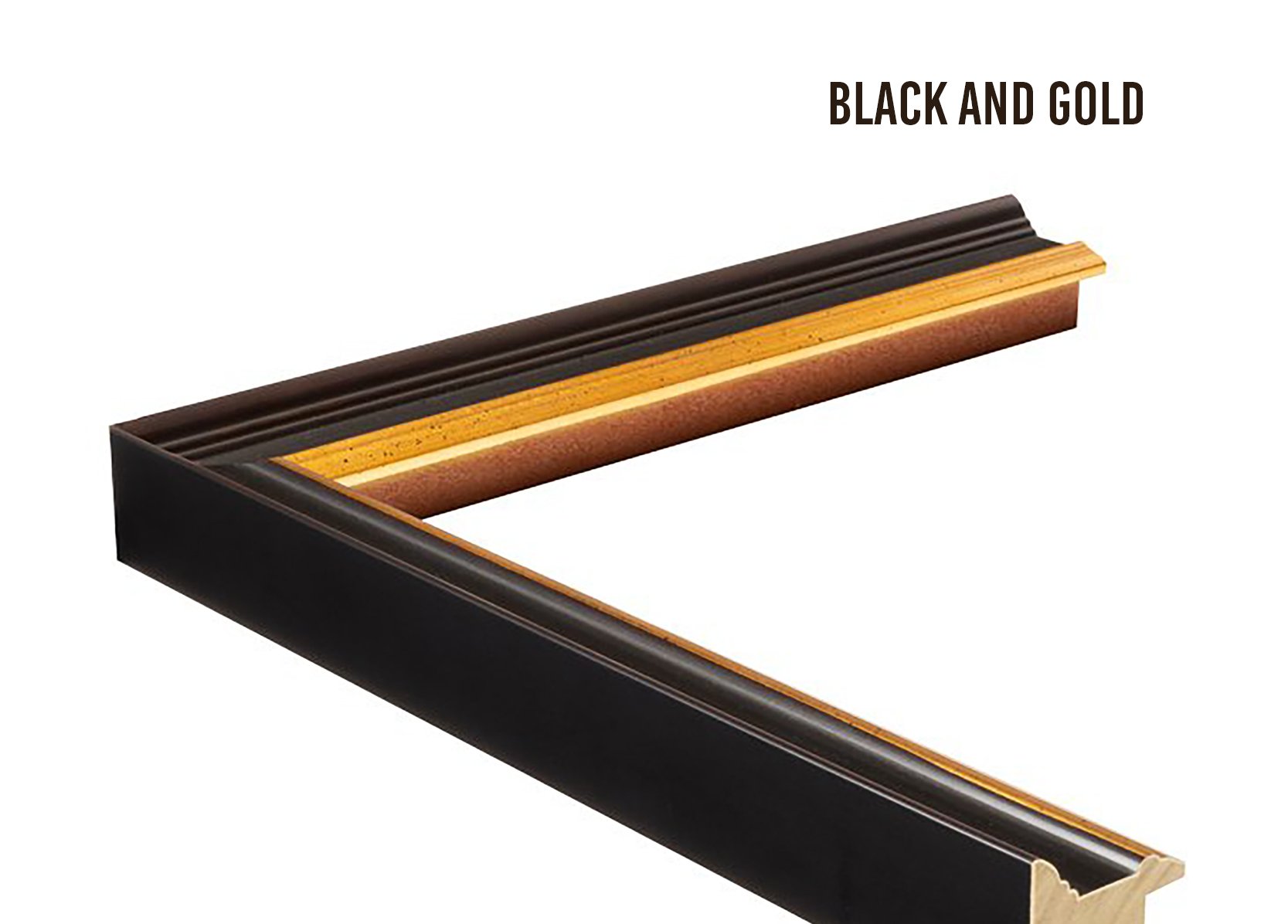 blackandgold.jpg