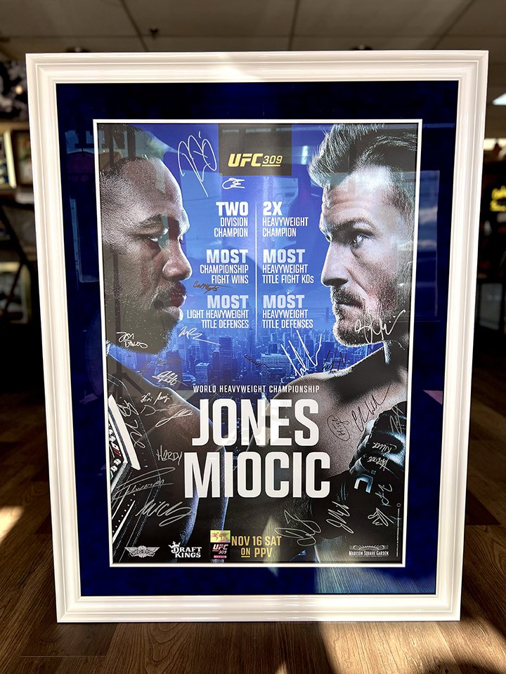 UFC Custom Frame 2.jpg
