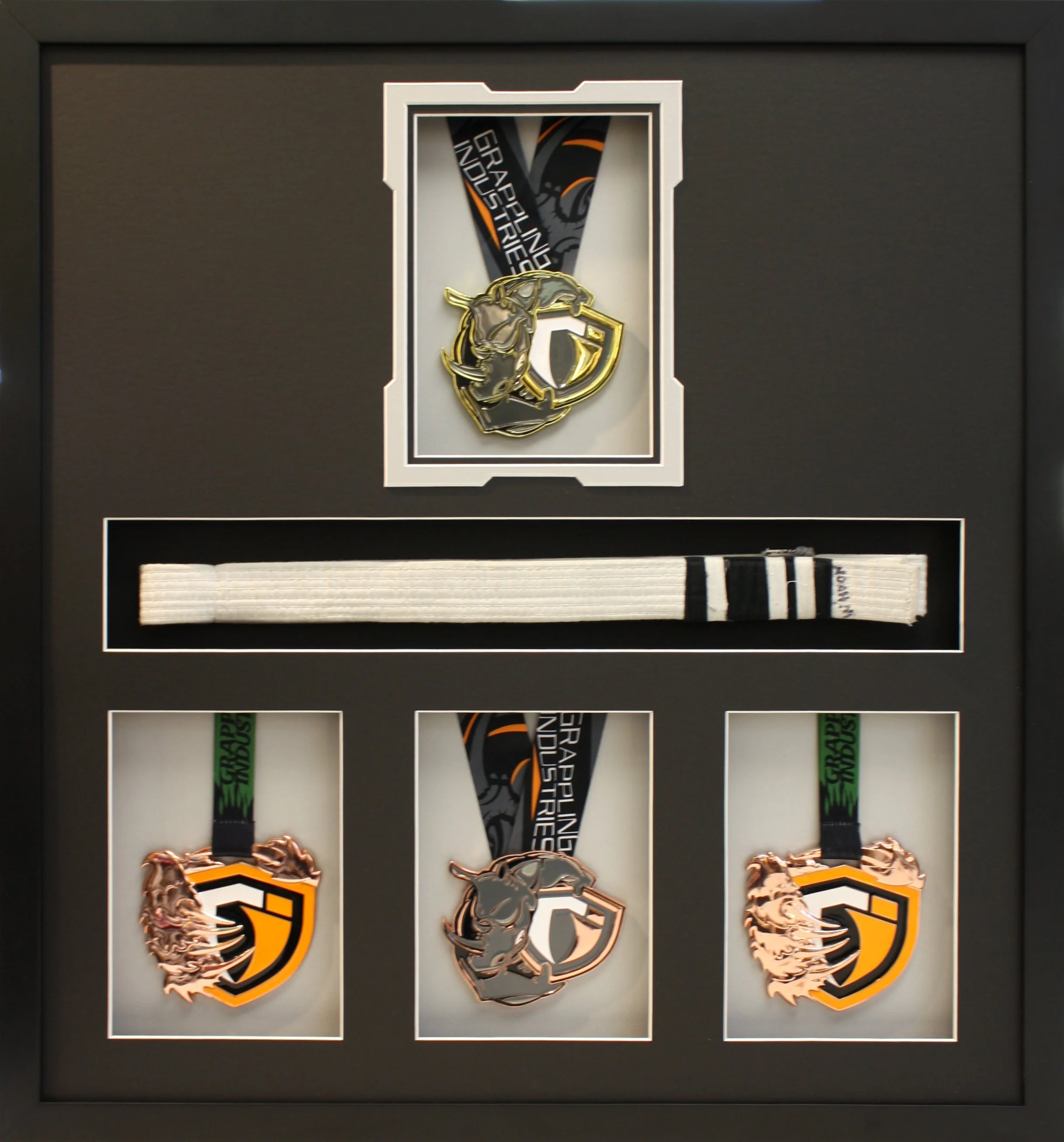 Grappling Medals in Shadowbox