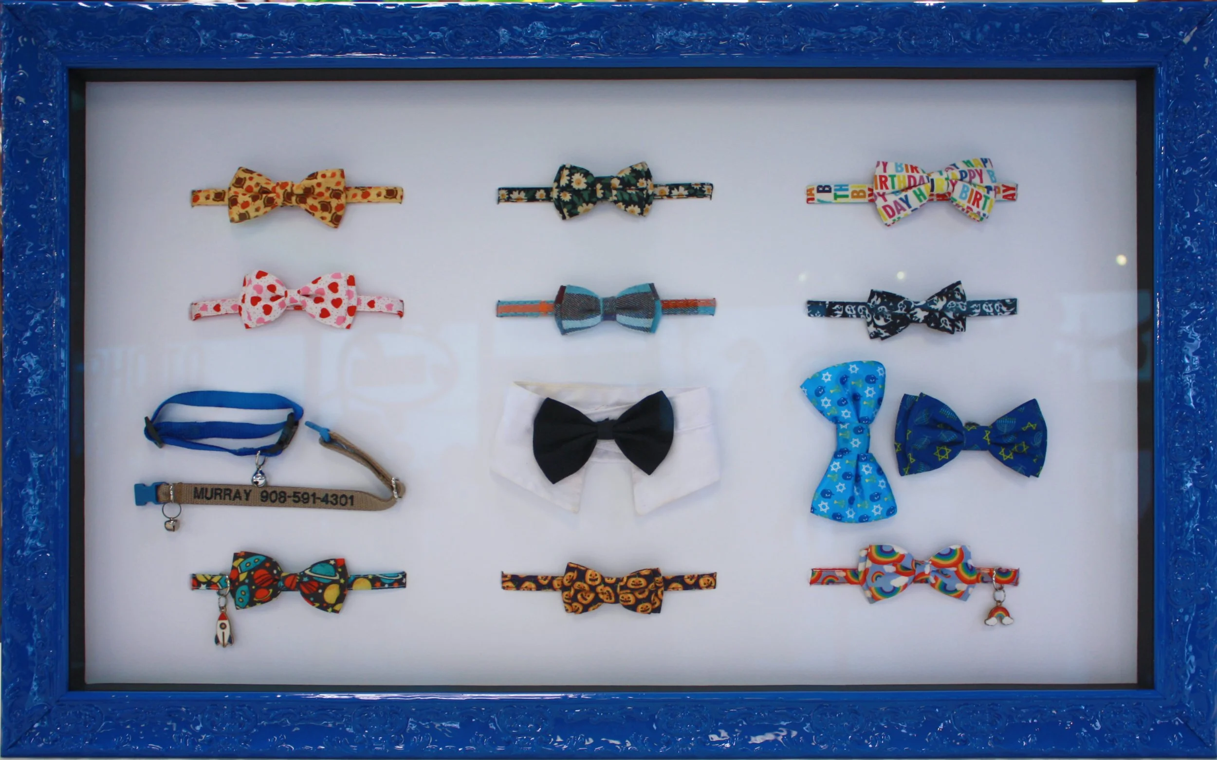 Display case with eleven colorful bow ties and one blue pet collar with a name tag. The bow ties have various patterns including floral, polka dots, Halloween, stars, and rainbow designs. The pet collar has the name "MURRAY" and a phone number on the