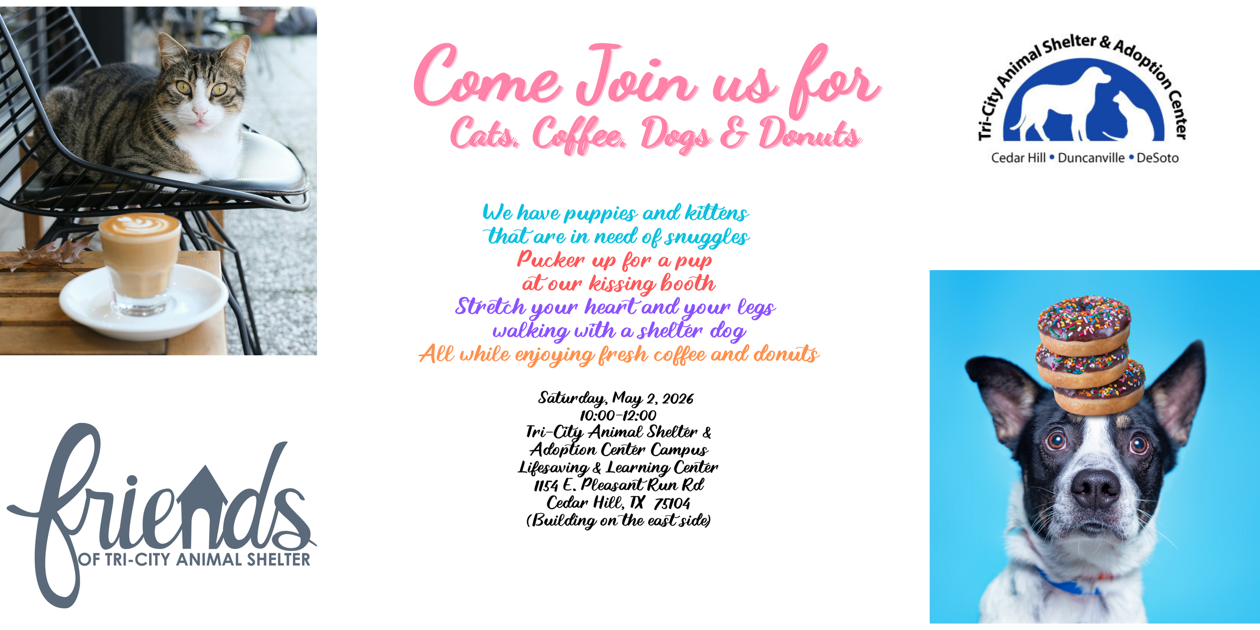 Cats, Coffee, Dogs and Donuts