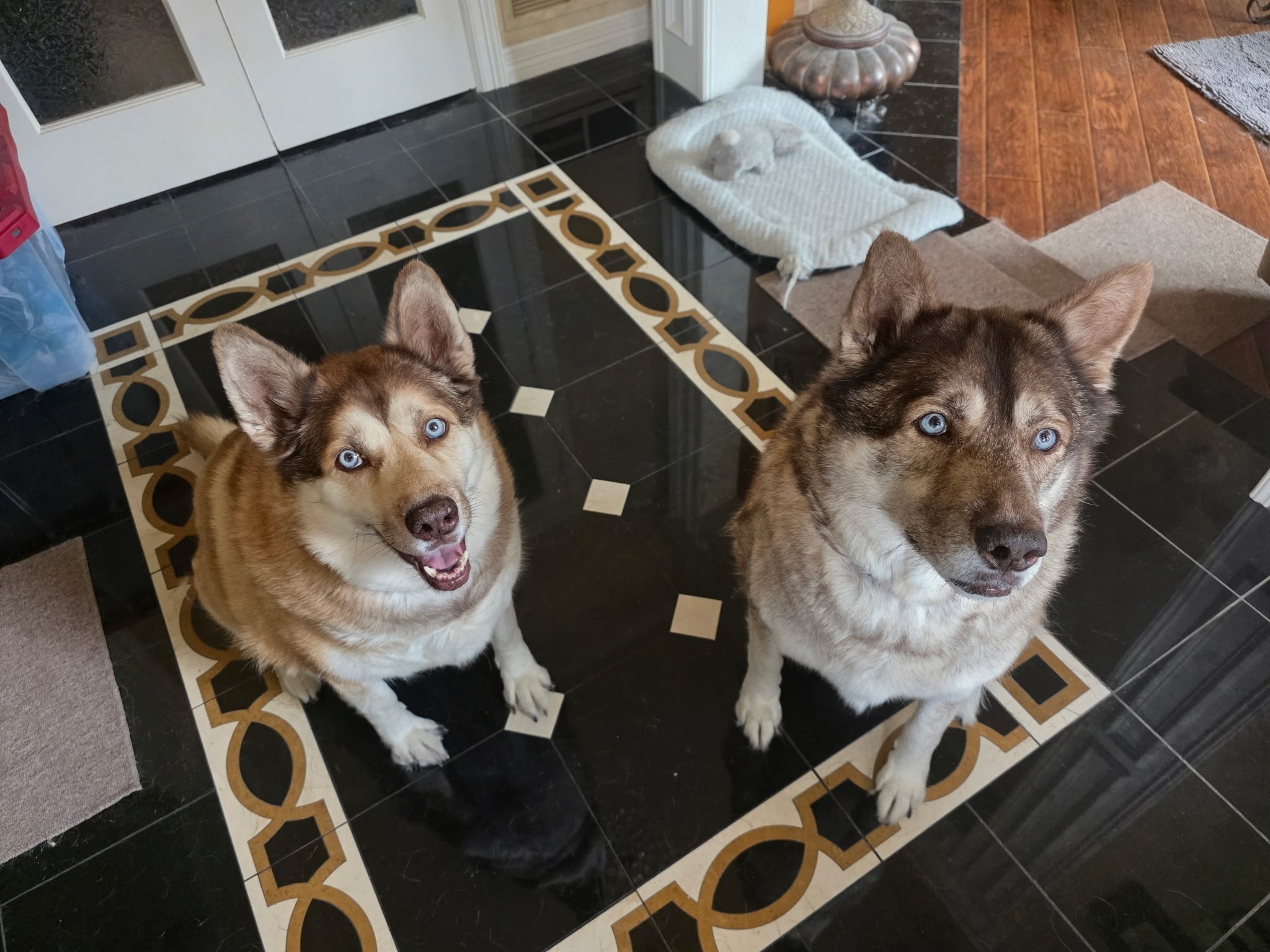 Two for One