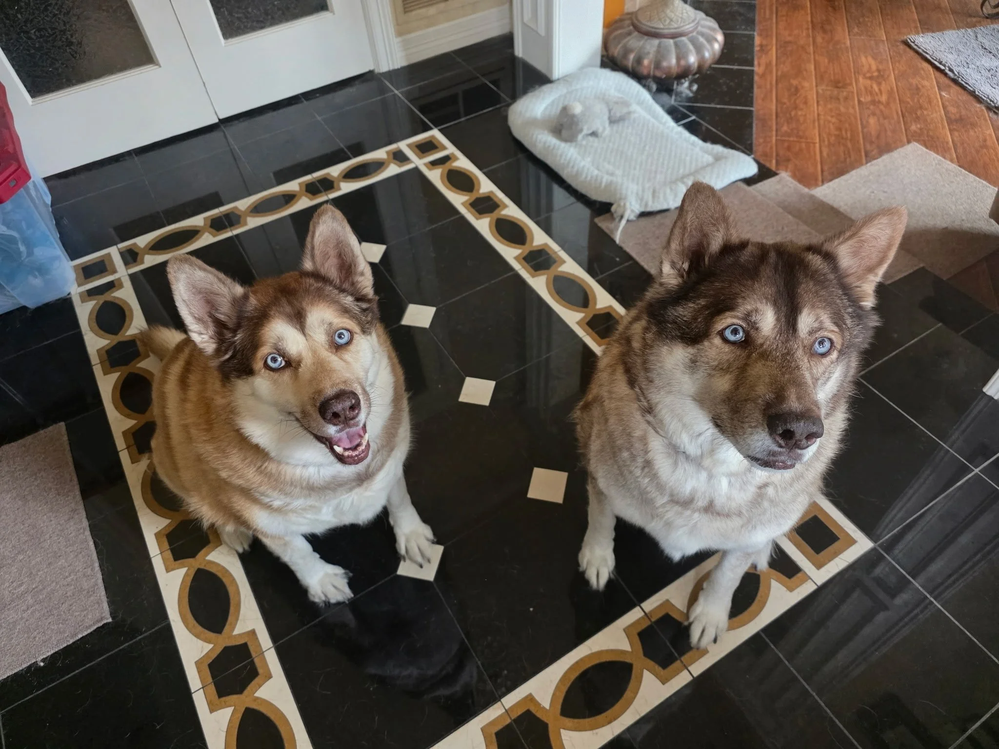 Two for One 