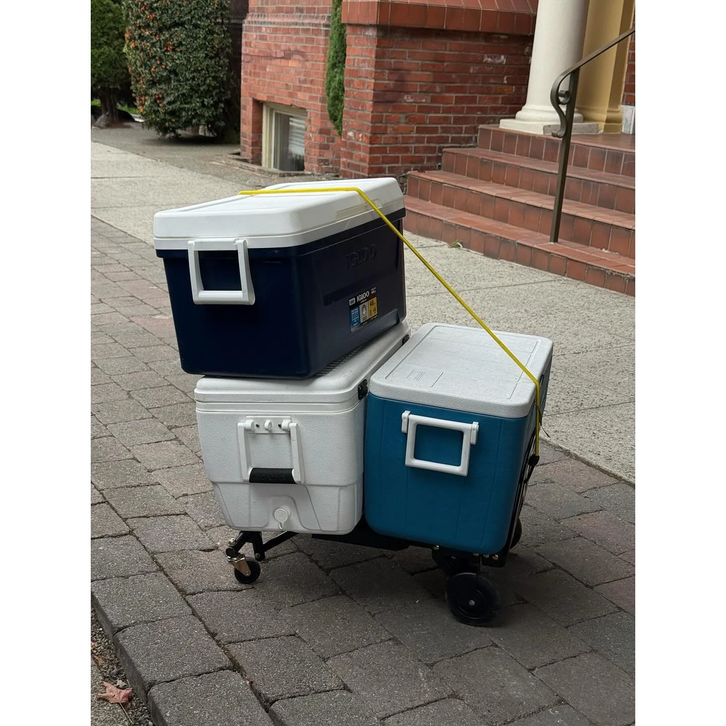 thanks to all the people who showed up and helped and ate and drank and walked and pet our old pup. it was many splendors all the time. some day we&rsquo;ll get some photos of the pizzas. #