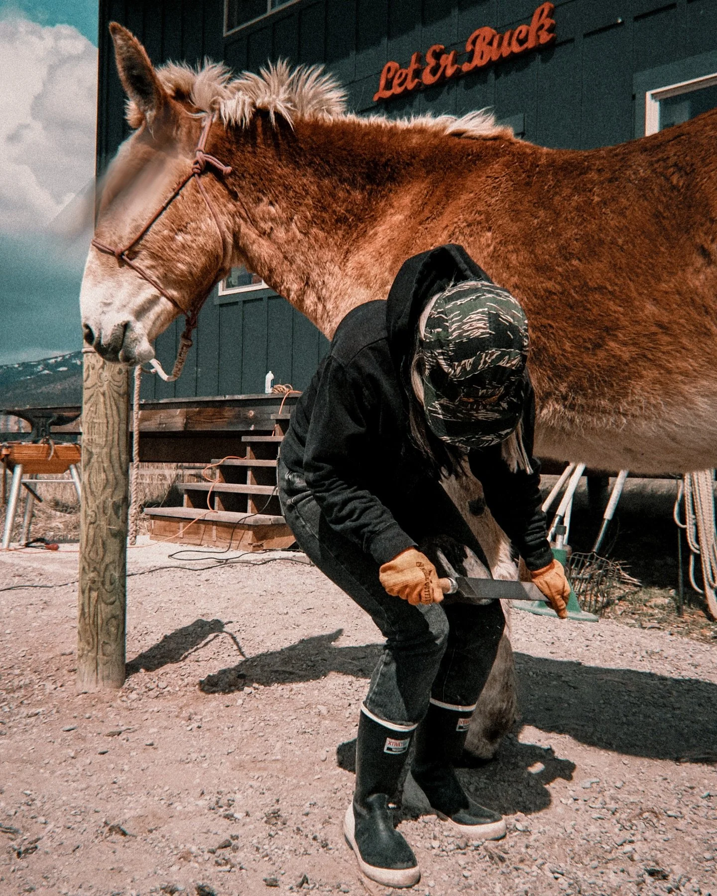 Spring Tune Up 🏴&zwj;☠️ // New designs in the works as well as the long promised kit, hitch, and rig breakdowns. We have, and always be, pro-community. We want to support the long-ear nation in whatever way we can, so if you have something you&rsquo