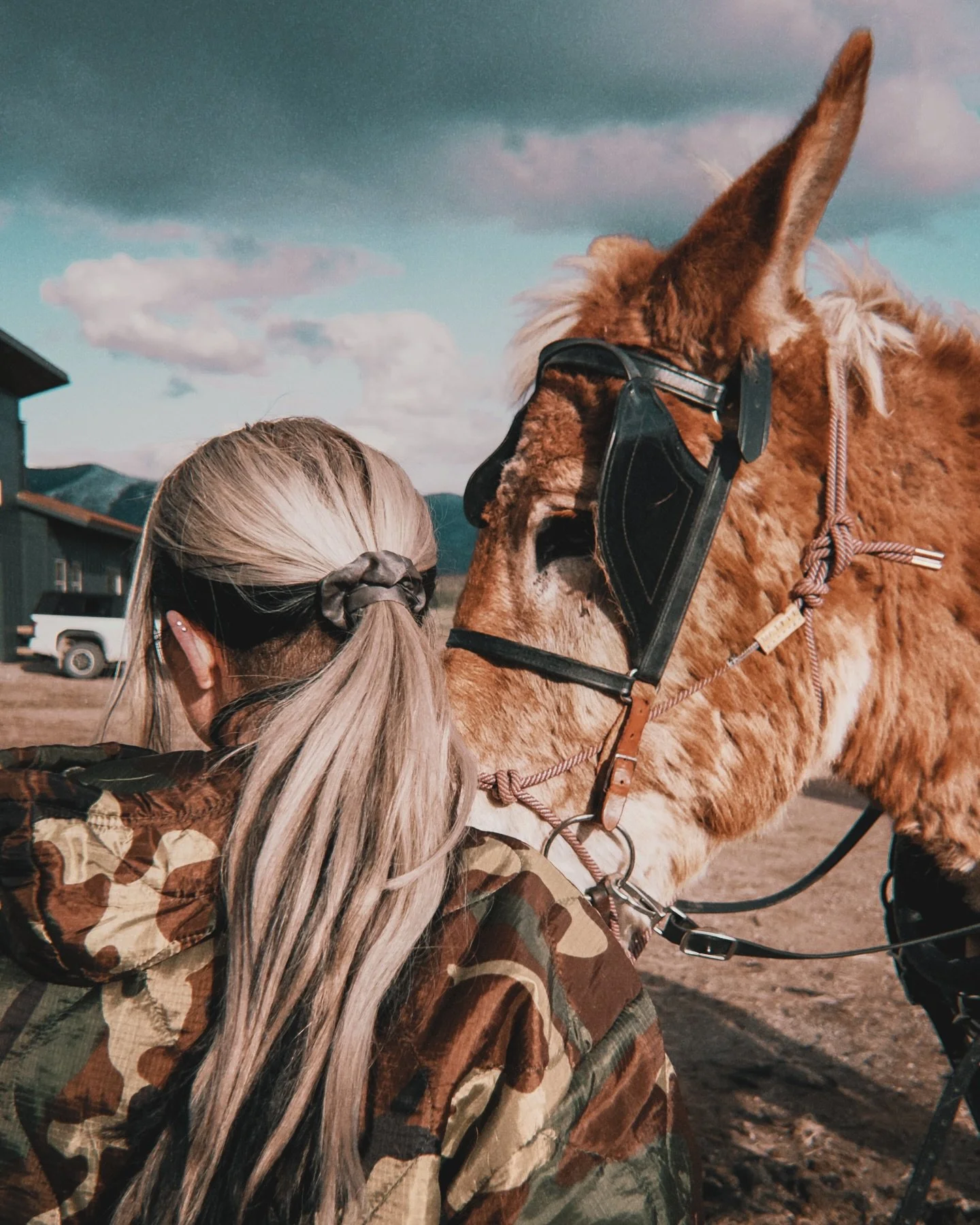 Why walk, when you can drive 🏴&zwj;☠️
࿈
࿈
࿈ #mvlecvlt #longearsforever