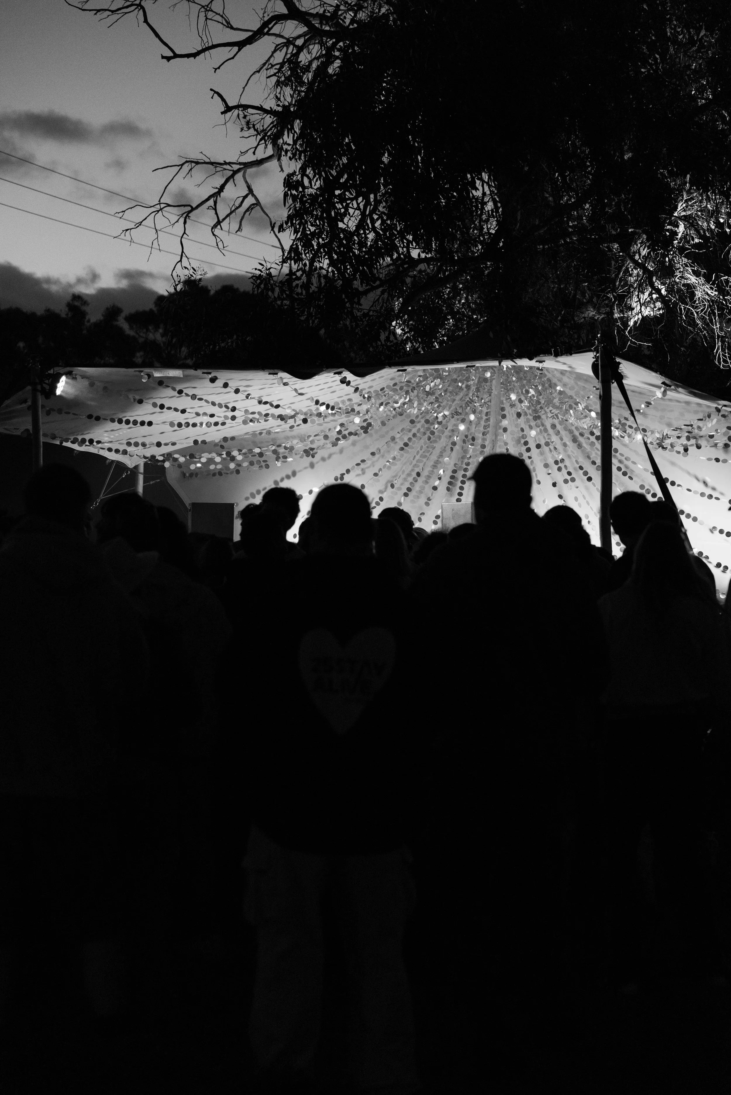 Stone Marketing229.jpg