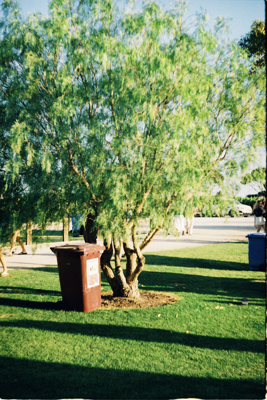 Screenshot 2026-01-14 at 11.29.13 AM.png