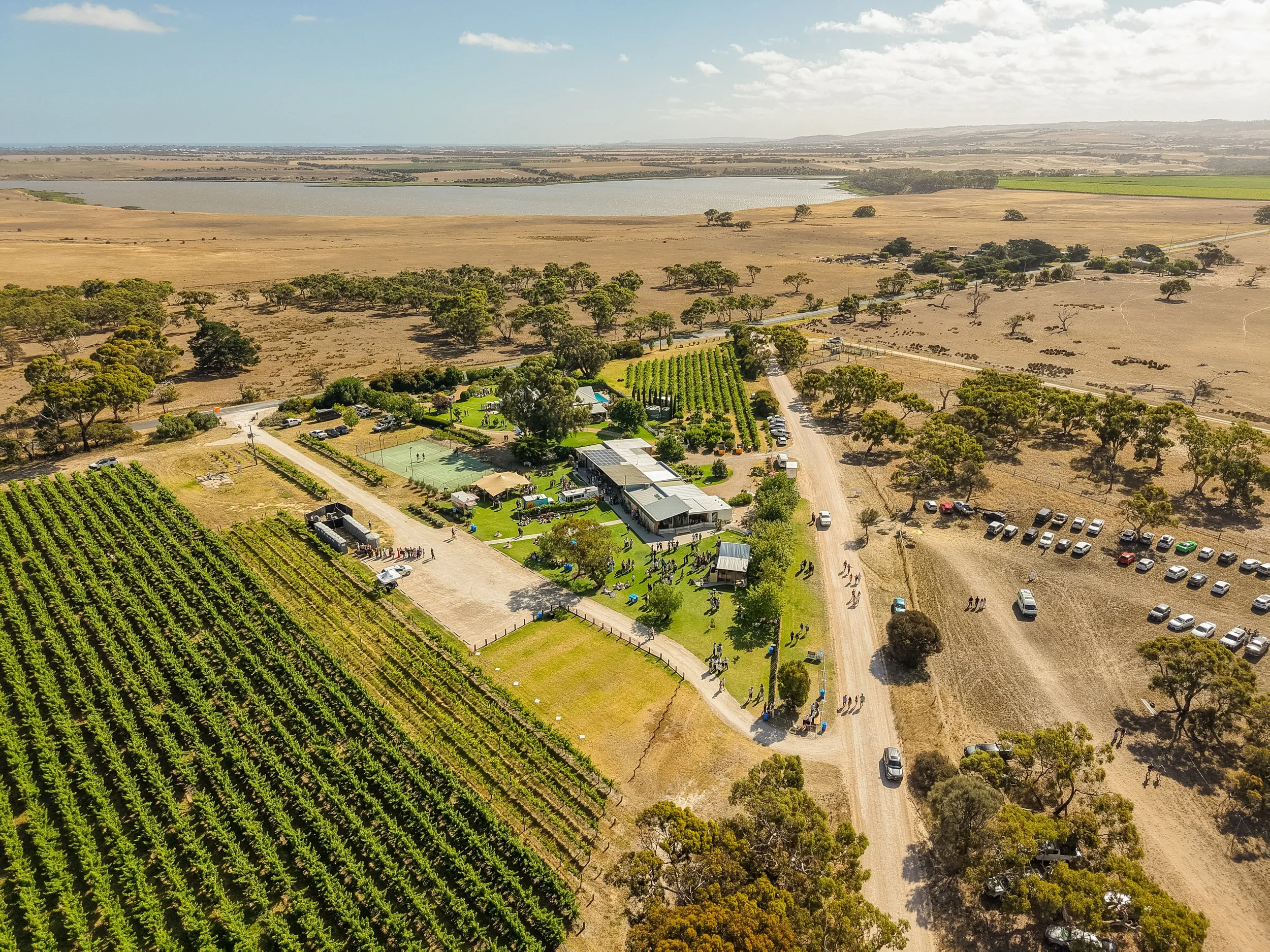 Stone Marketing3.jpg