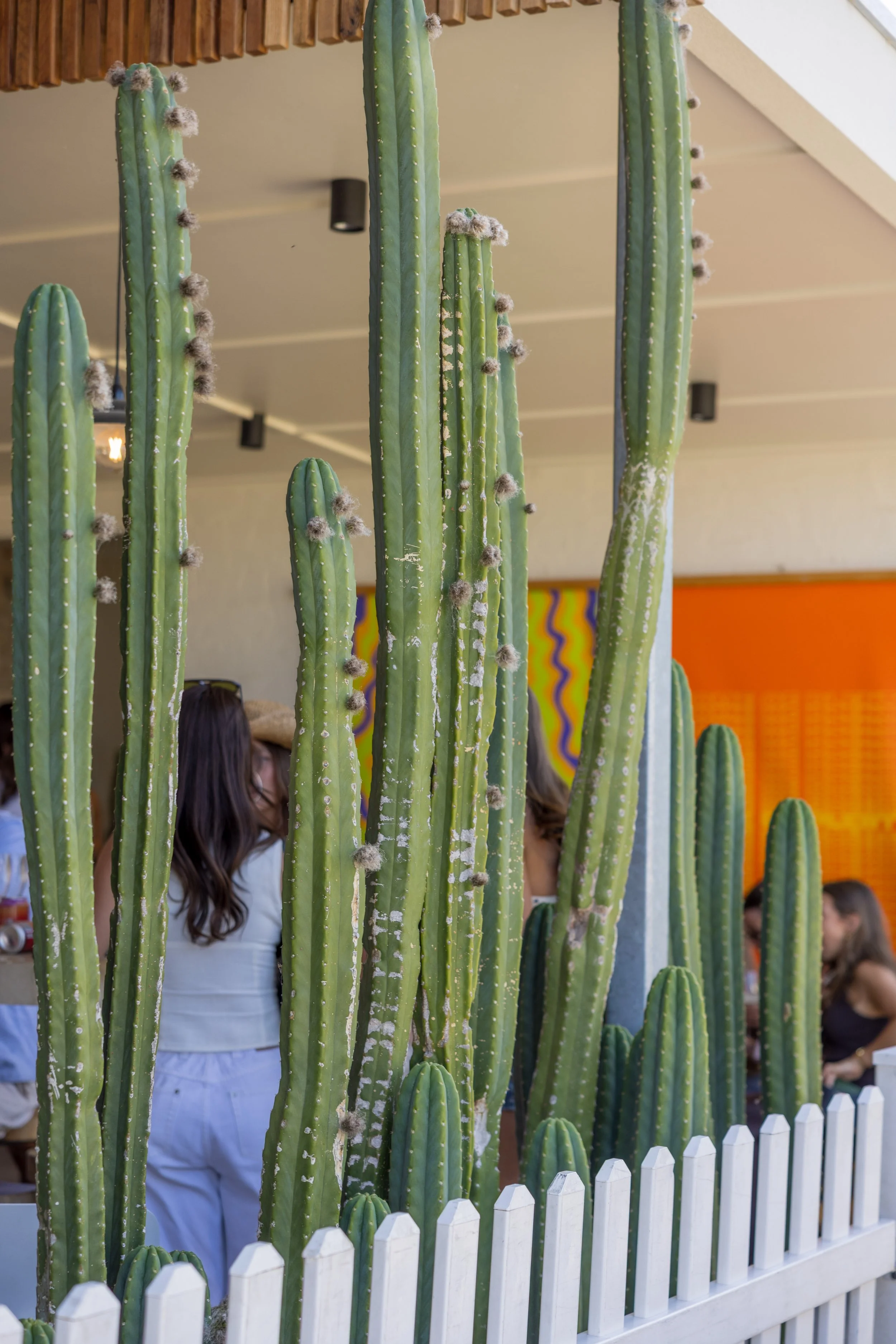 Stone Marketing147.jpg