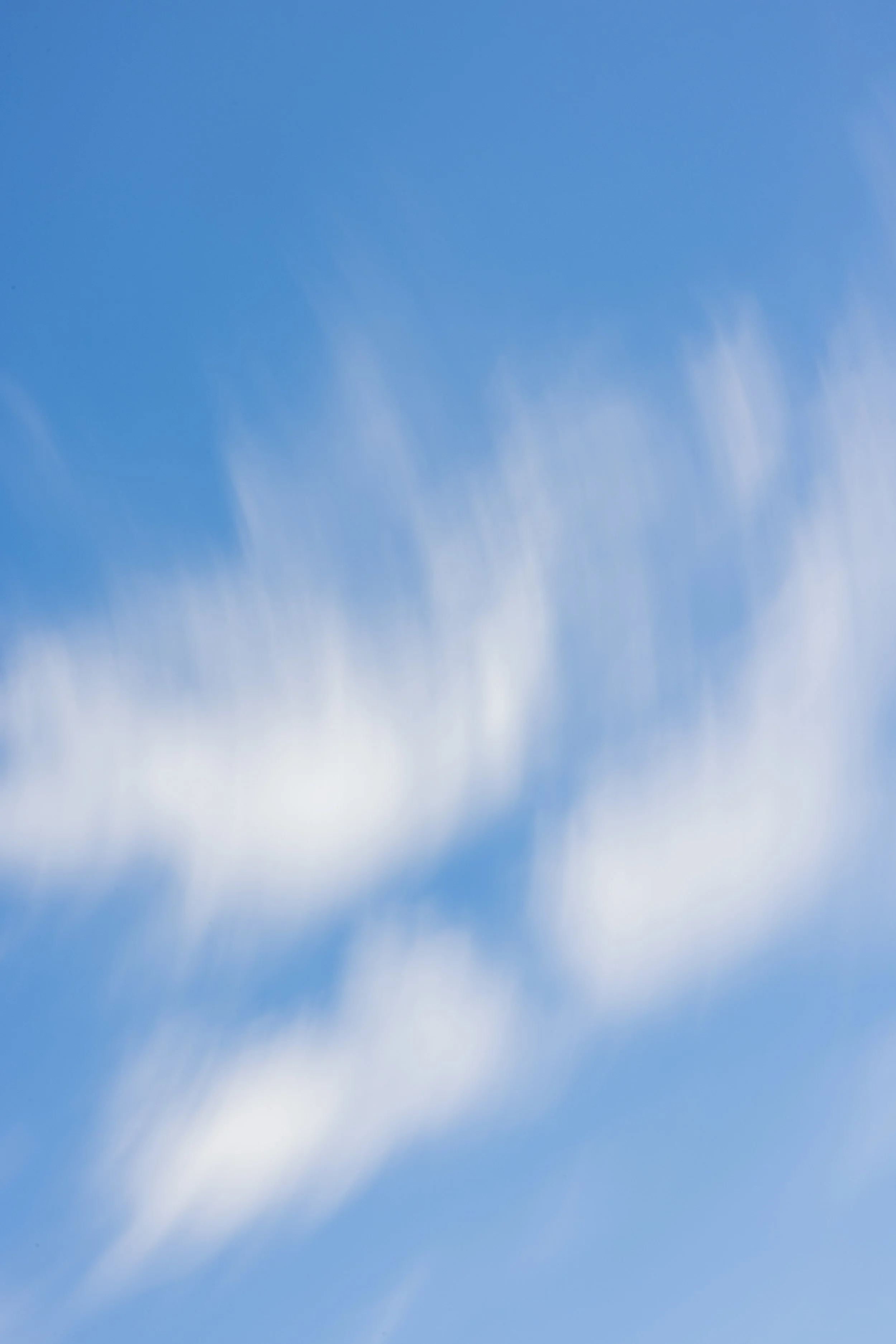 Stone Marketing244.jpg