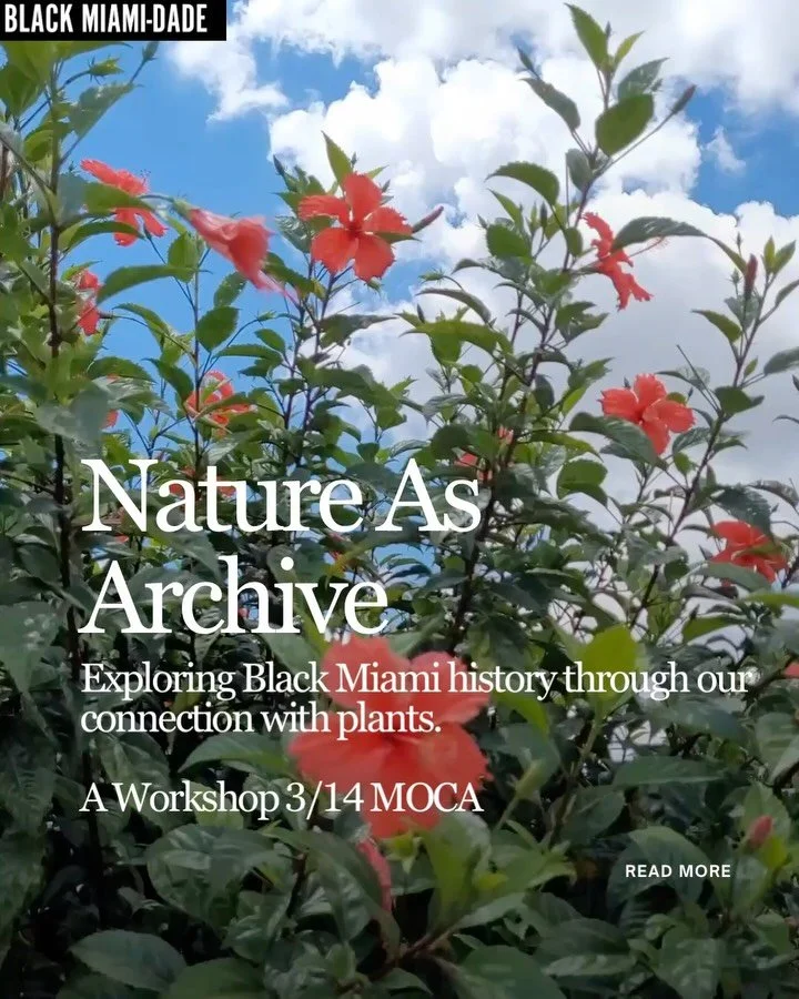 Join us for Nature as Archive, a workshop exploring the stories plants carry and how South Florida&rsquo;s landscape holds memory and history on Saturday March 14th. 

The MOCA Legacy Series, co-curated with Nadege Green, founder of Black Miami-Dade,