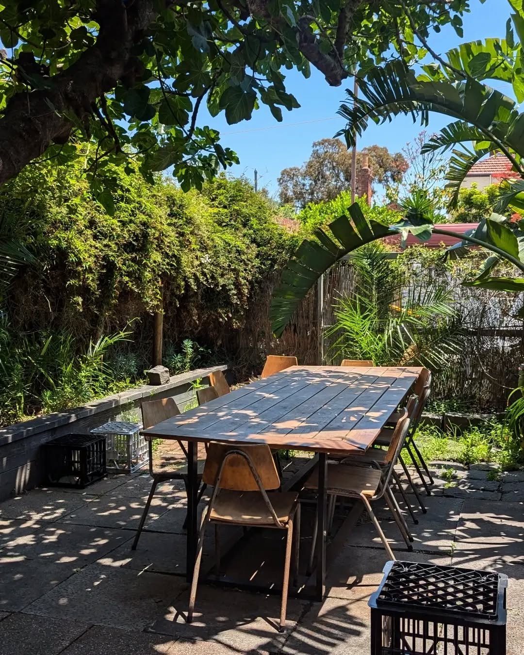 Courtyard things! 🌞

Open until we close this year, then back open next year when we open! (weather permitting)