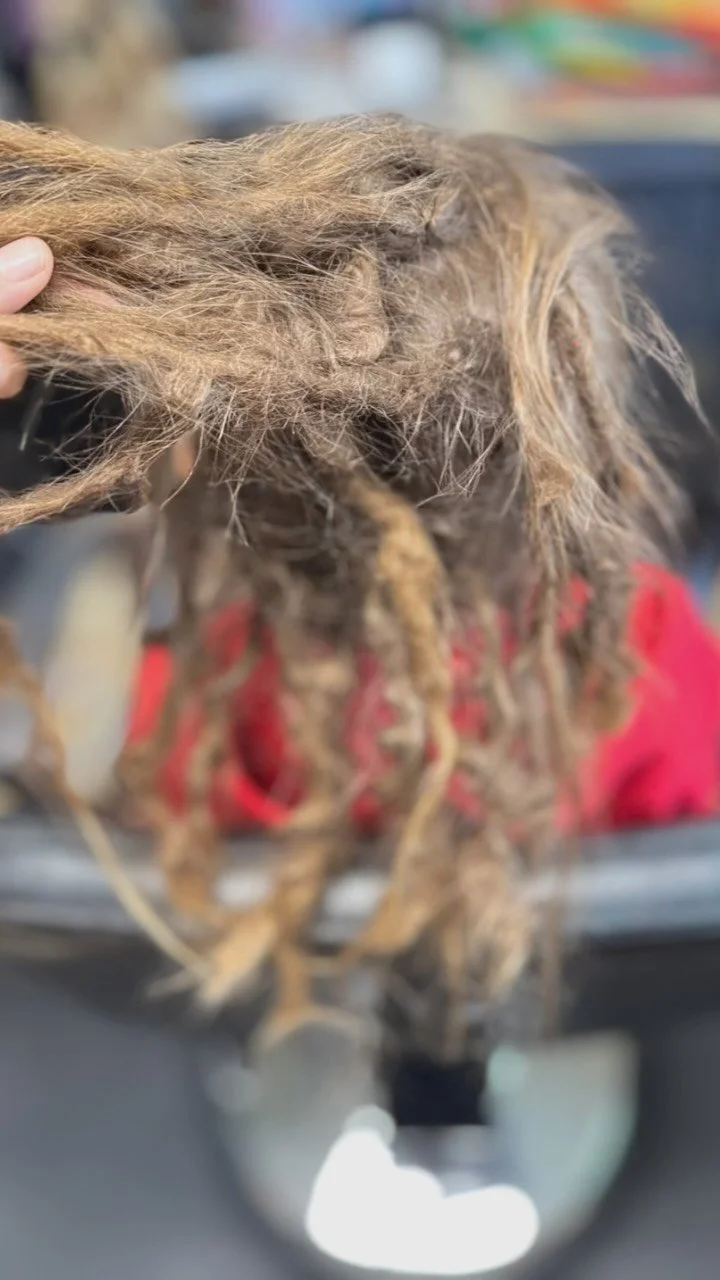 Maintenance+Repair+Extensions. 🦋🪴
#travelingloctician #locjourney #loctician #locs #dreadheadnation #crochetlocs #locartist #locstyles #locextensions #locrepair #dreadlocks #dreadlockservices #dreadlockrepair