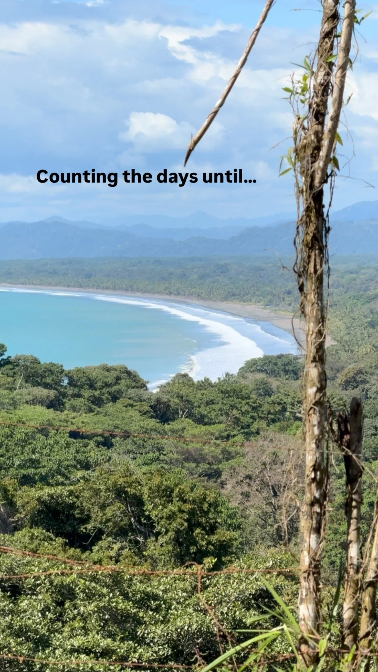 Pura Vida.🤙🏽🦜🦥🐆
#pavones #costarica #locjourney #travelingloctician #puravida #locartist #traveling #junglelife