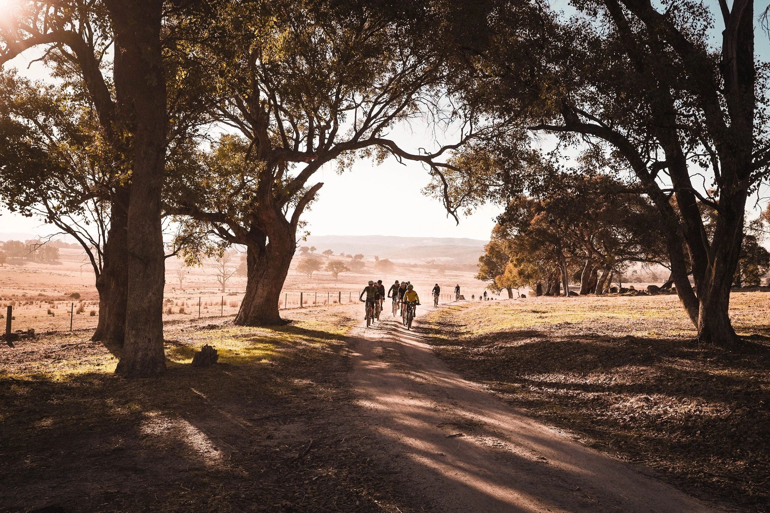 Beechworth Granite 2024