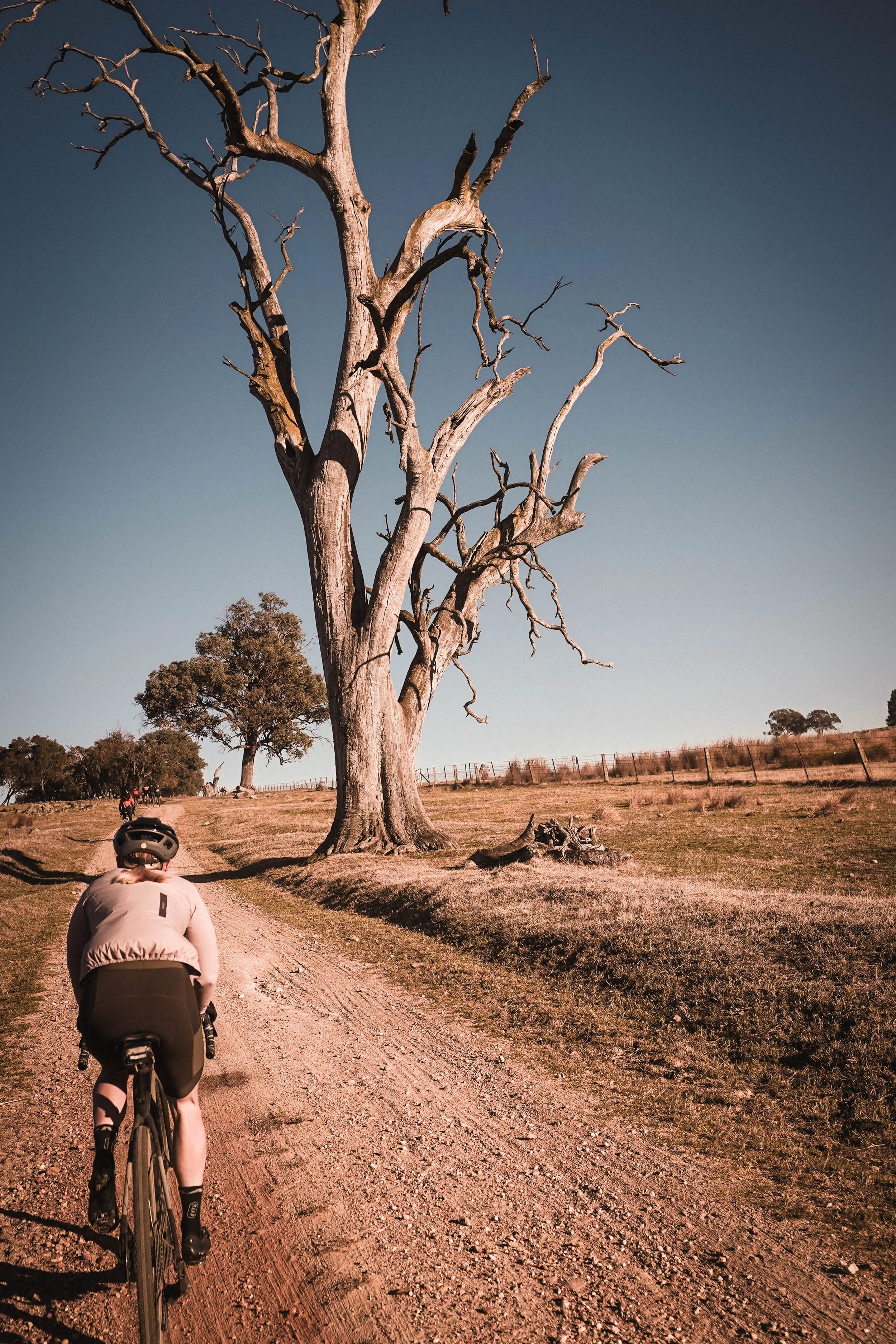 BWGC 24 @derekvrebel - 28 - 2024_.jpg