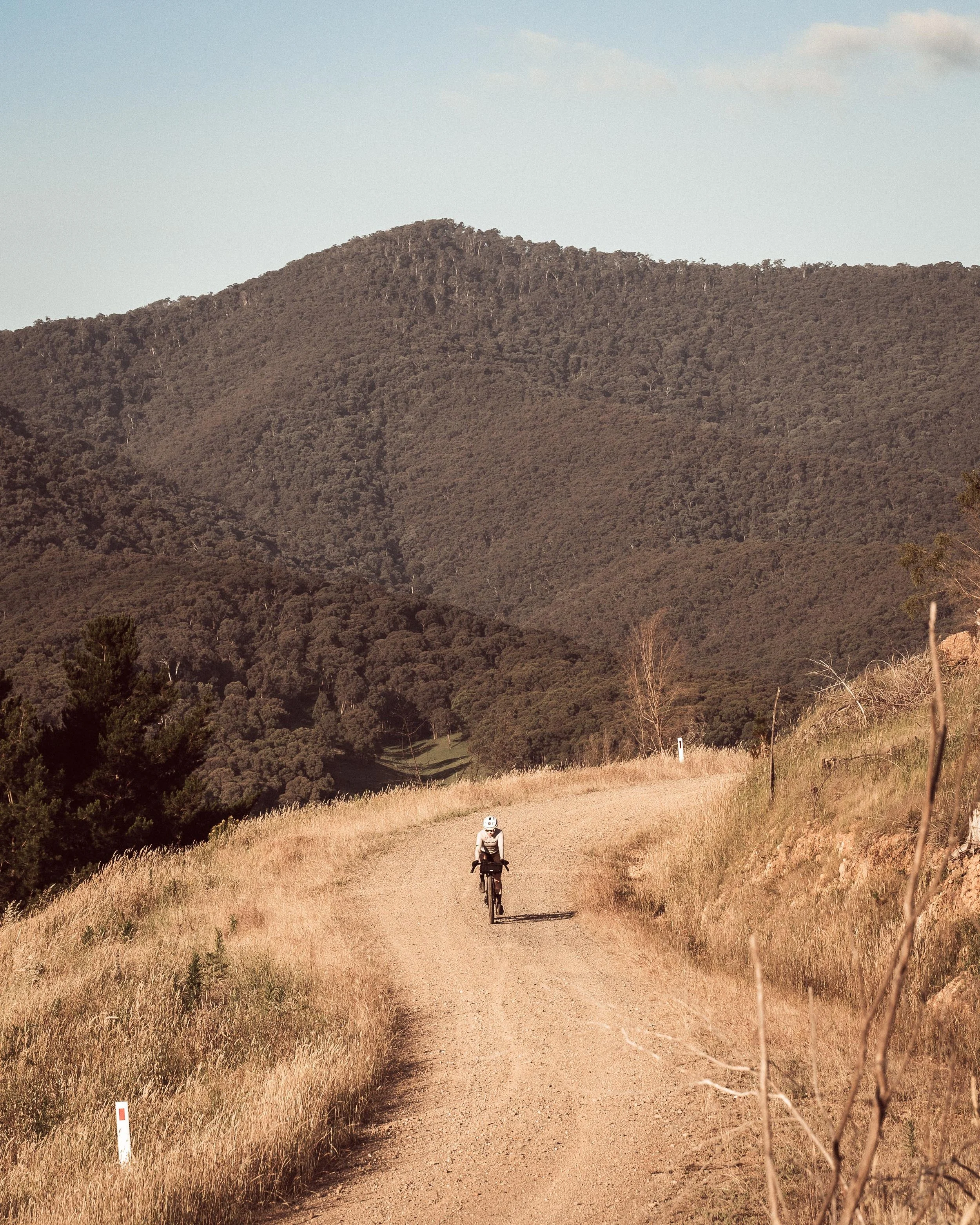 @derekvrebel -  SGB Propunk with GEM-43.jpg