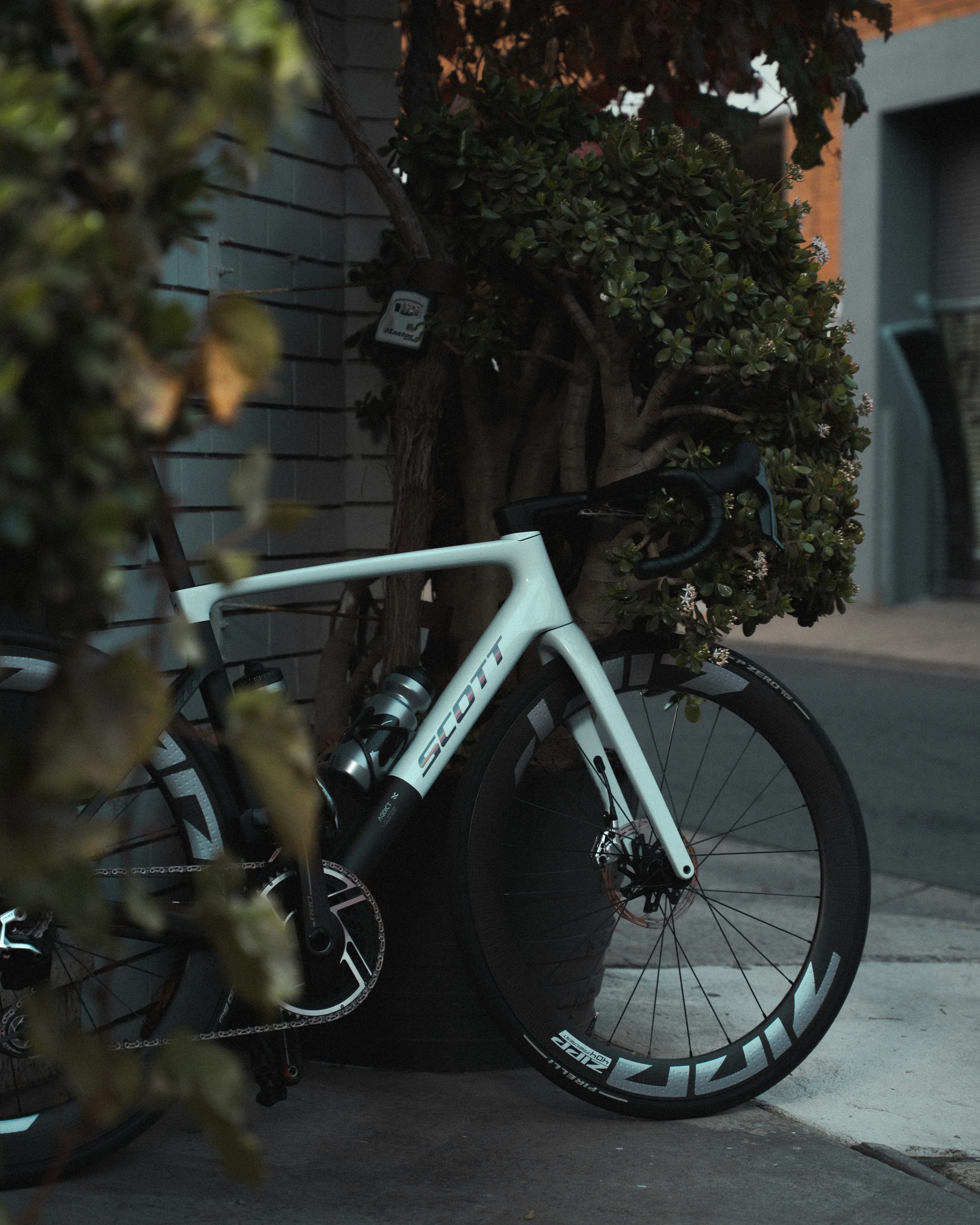 GT Aerate - @derekvrebel @derekvrebel 2025 74 - _.jpg