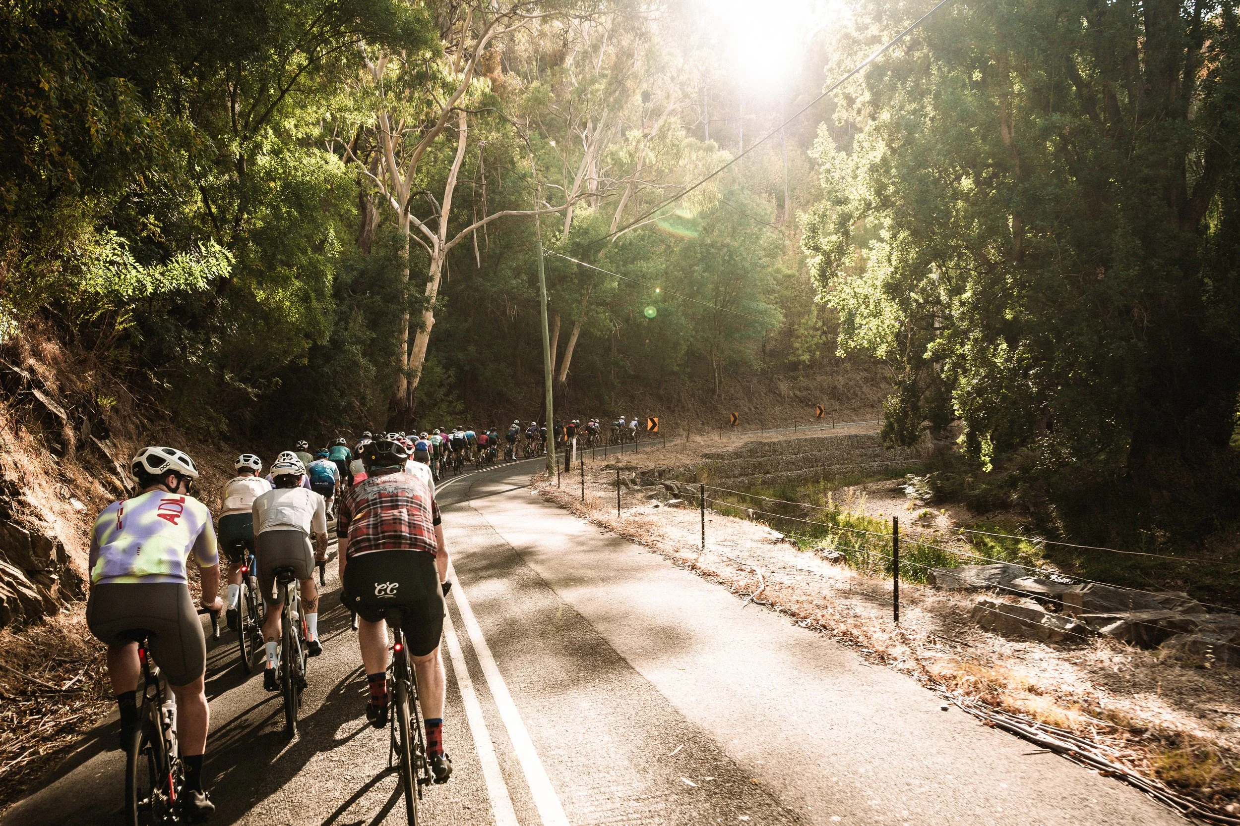 MAAP x SPECIALIZED ADL 2025