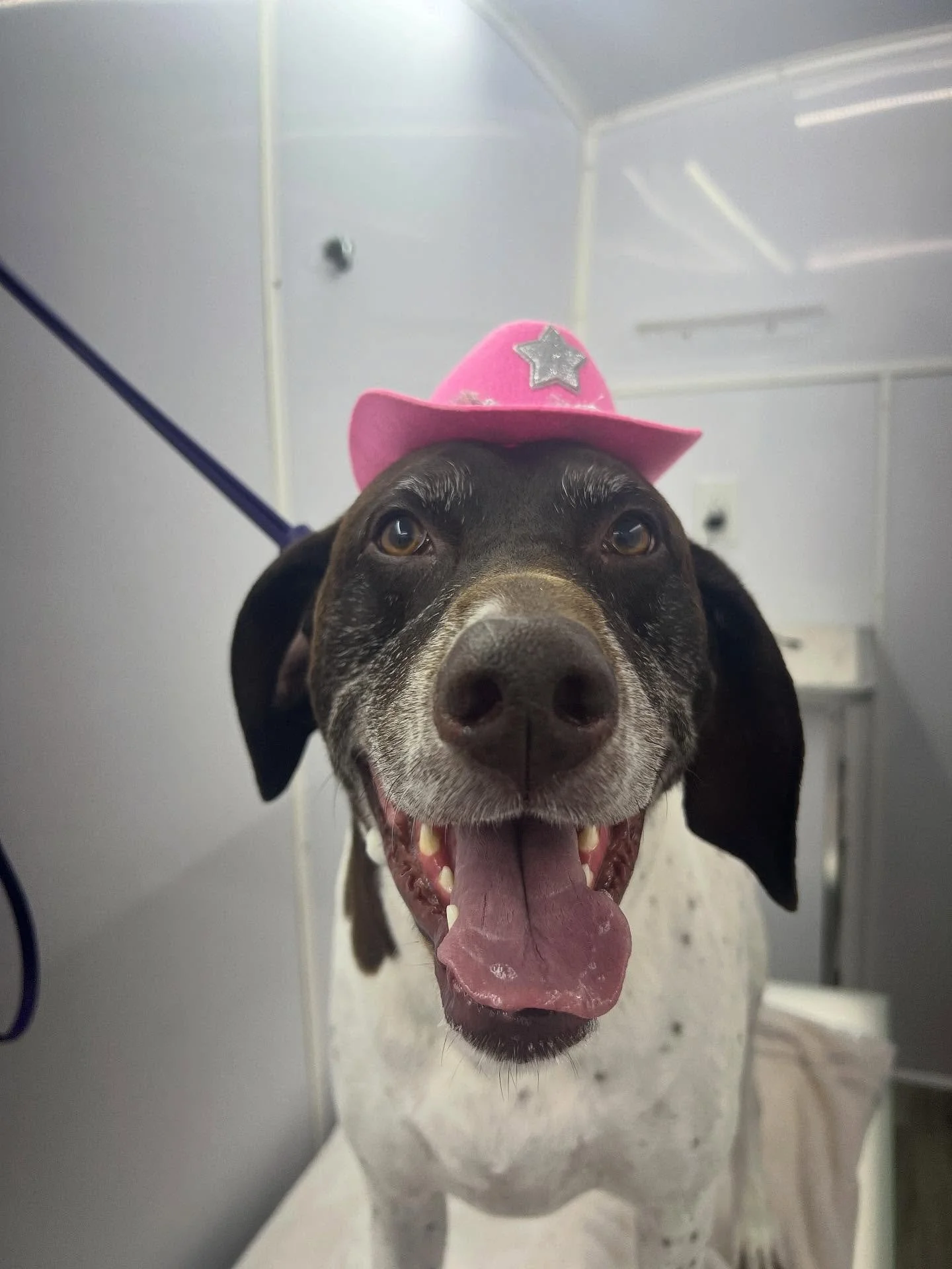 Look at this cowgirl!! 🤠