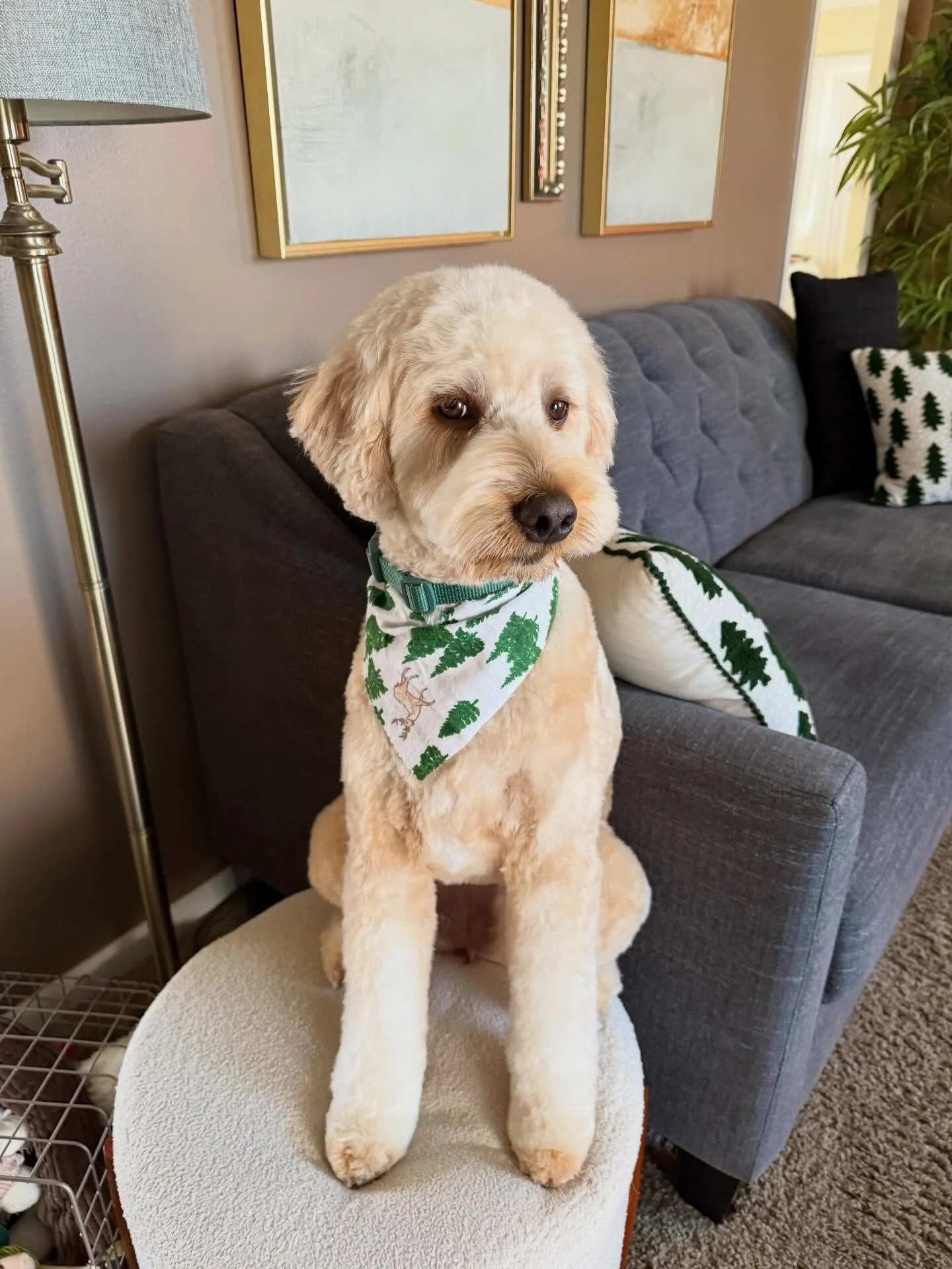 Riley showing off her holiday makeover for her mom 💁🏼&zwj;♀️