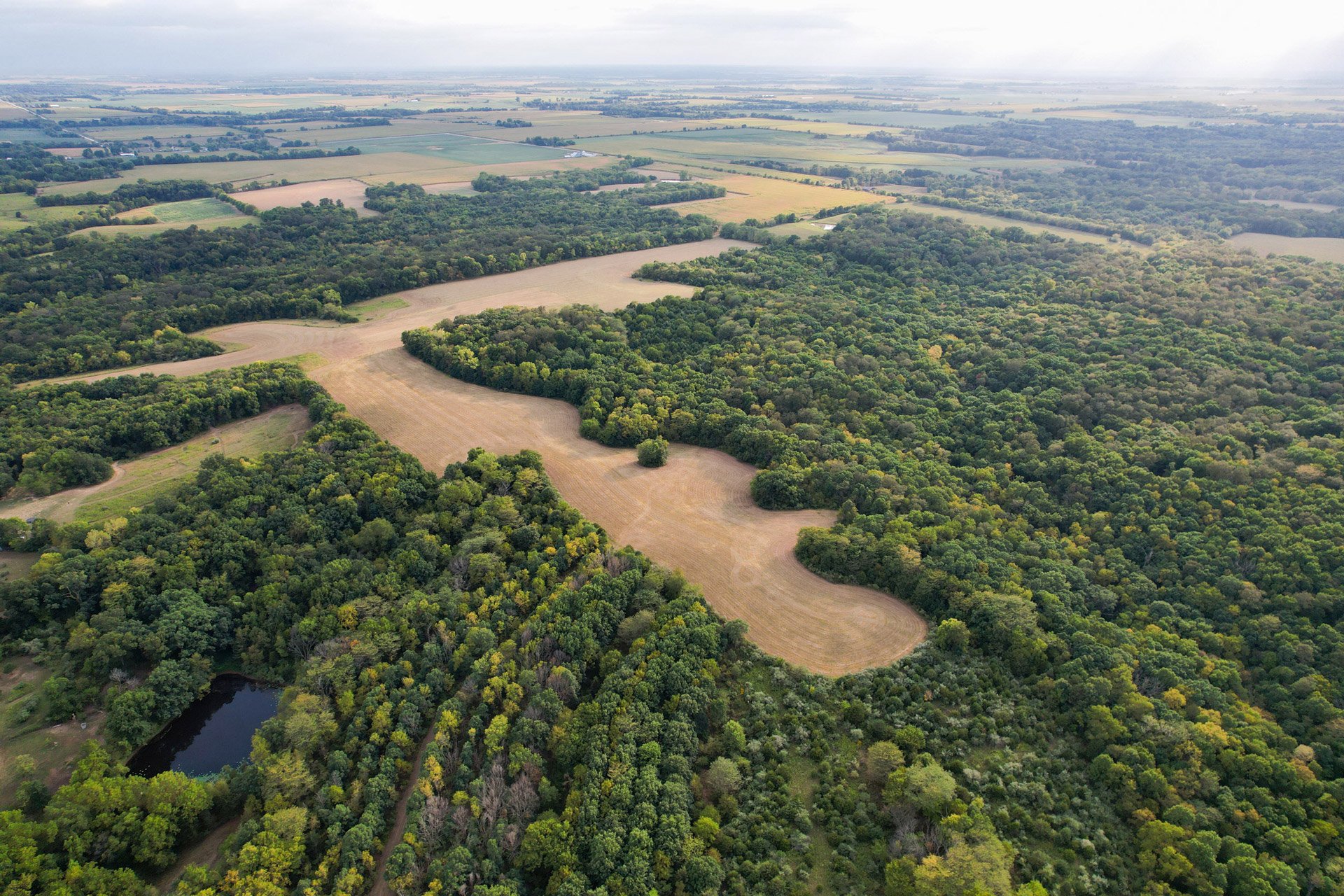 957 Acres - "The Bailey"