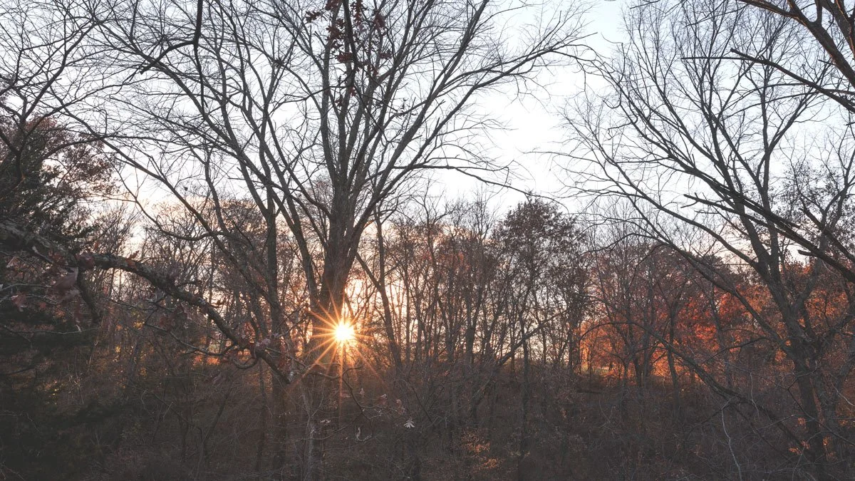 A sunrise during bow season in southern Iowa.