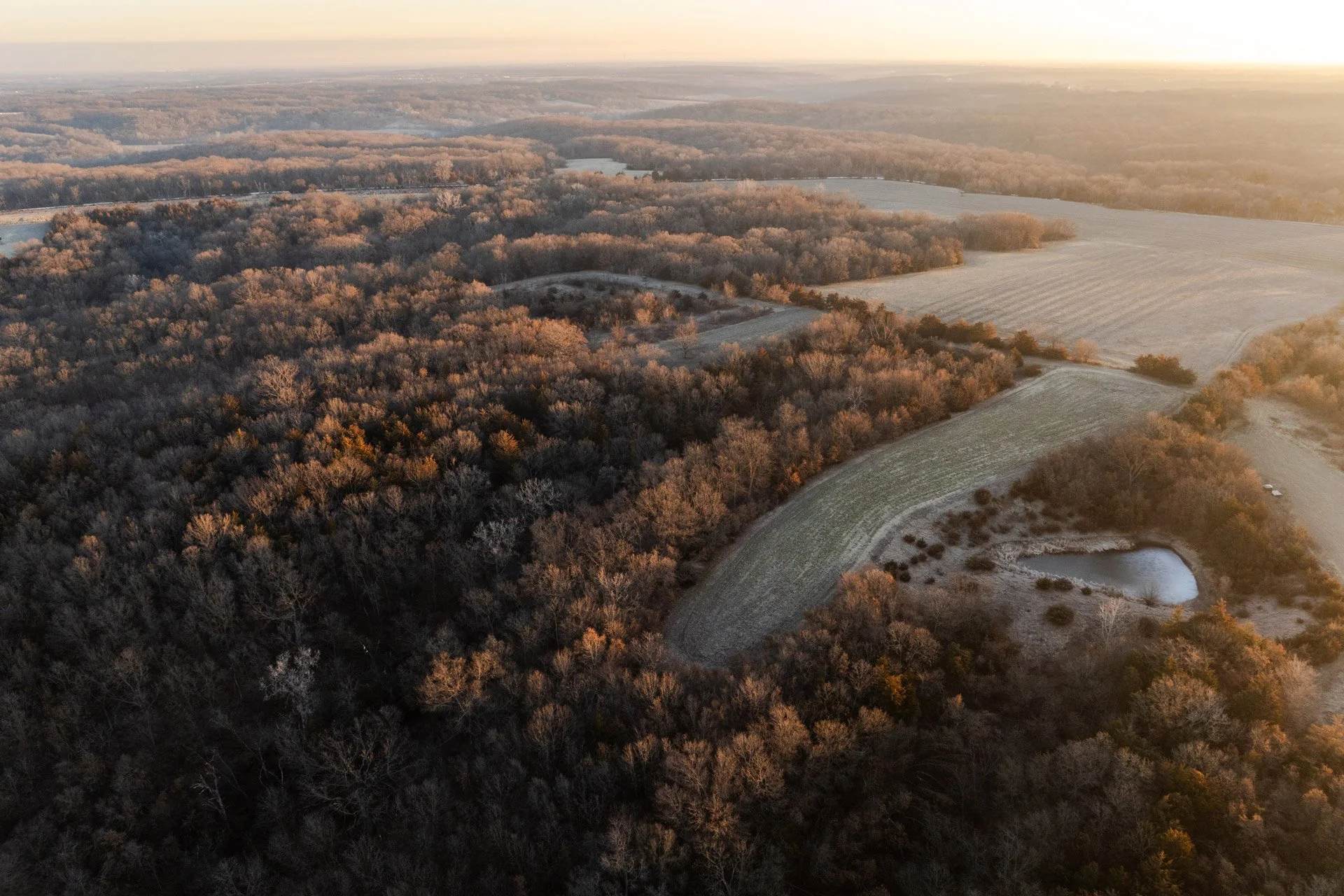 956 Acres "The Winke Farm"