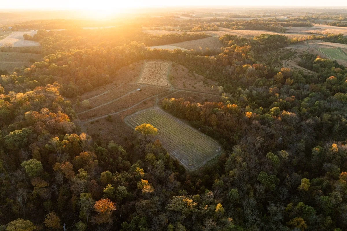 Drone image of a beautiful farm in southeast Iowa listed by The Shoutheast Iowa Land Team for Whitetail Properties