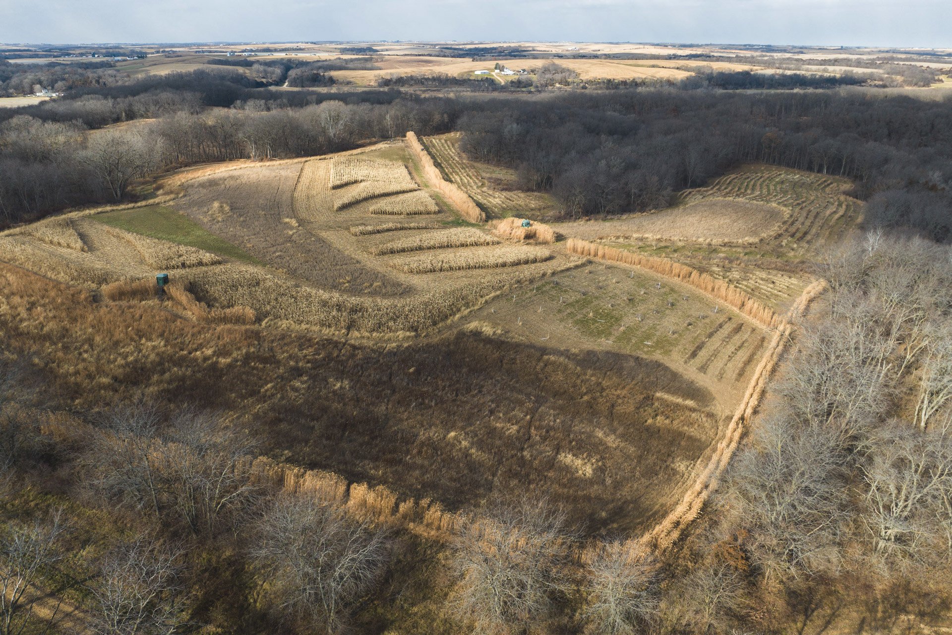 322 Acres - QDMA Co-Op