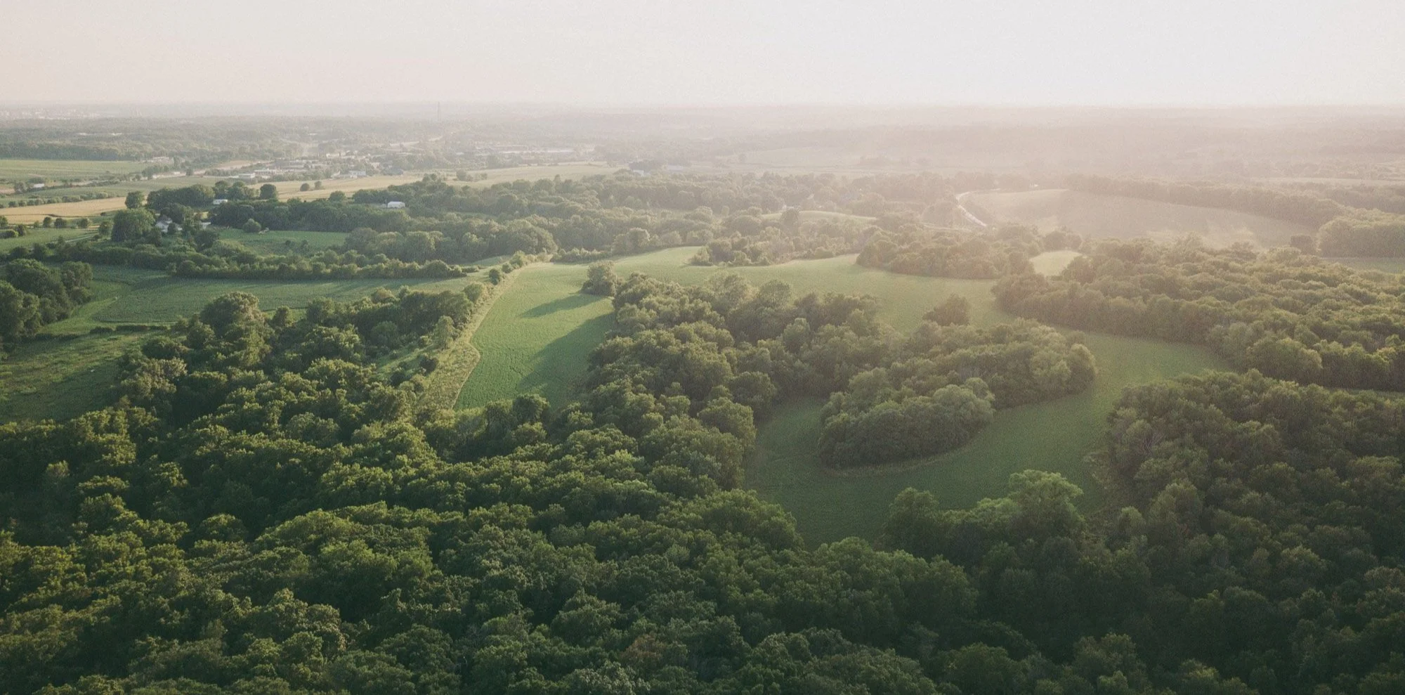 Aerial view of a lush green landscape with dense trees, open grassy fields, and distant buildings under a hazy sky.