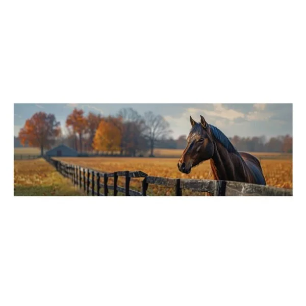 JV6208-STABLES-40X120-8-600x600.jpg