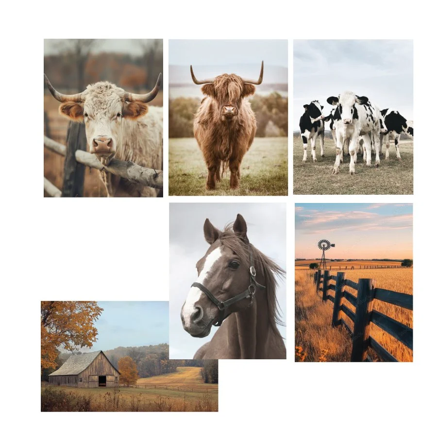 Canvas Print - Farmyard Copper Fields - 60x80cm