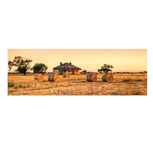 THISISAUSTRALIA_40X120CM_JV5731_3.jpg