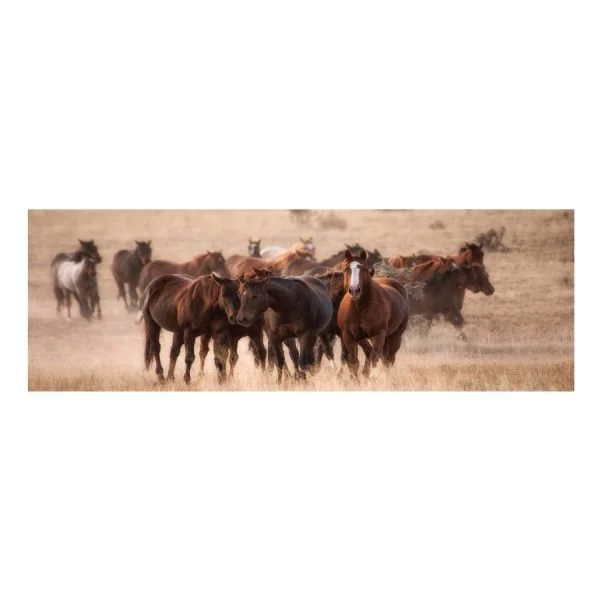 JV6208-STABLES-40X120-6-600x600.jpg