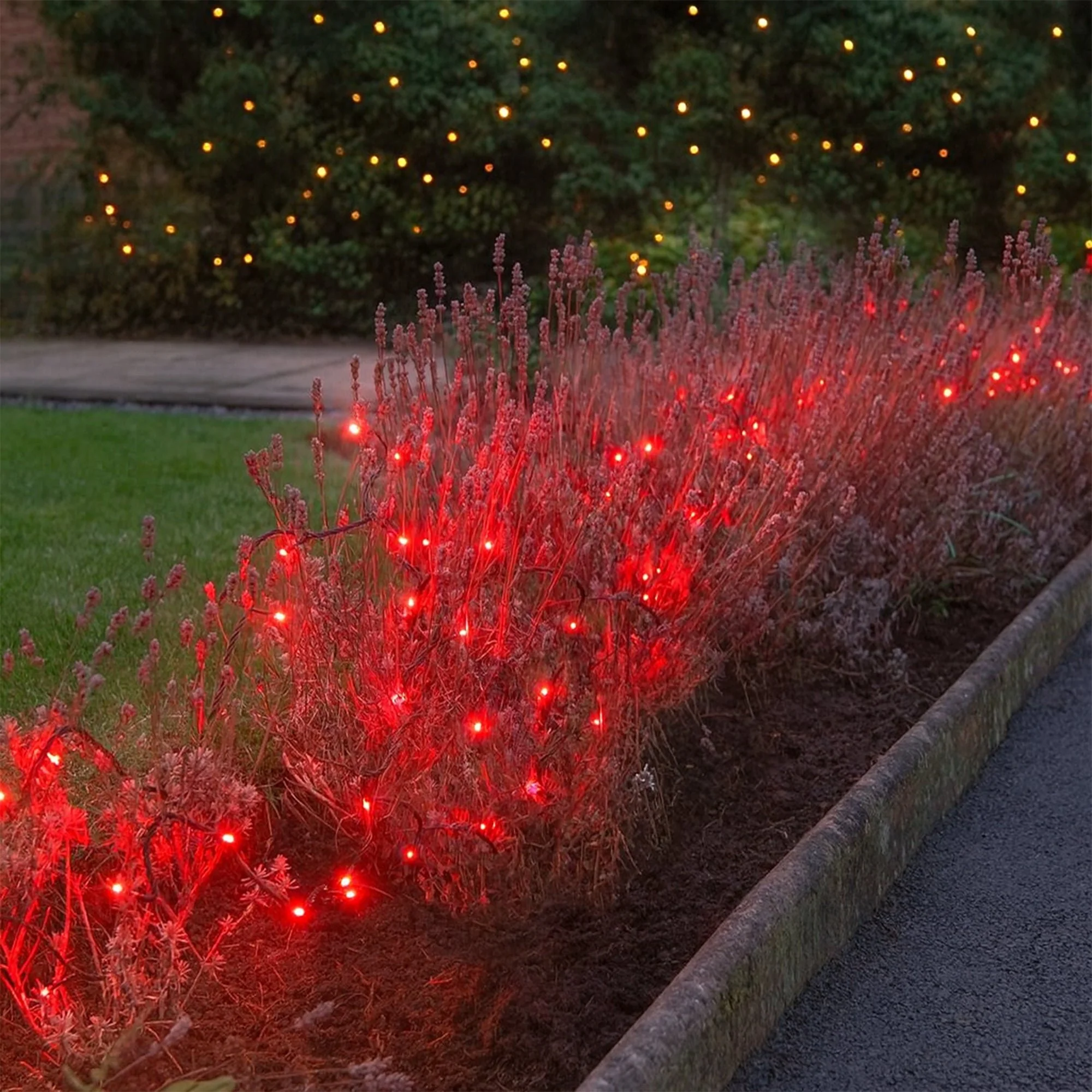 LL001LV240RG-240-led-fairy-light-chain-red-lexi-lighting-06.jpg