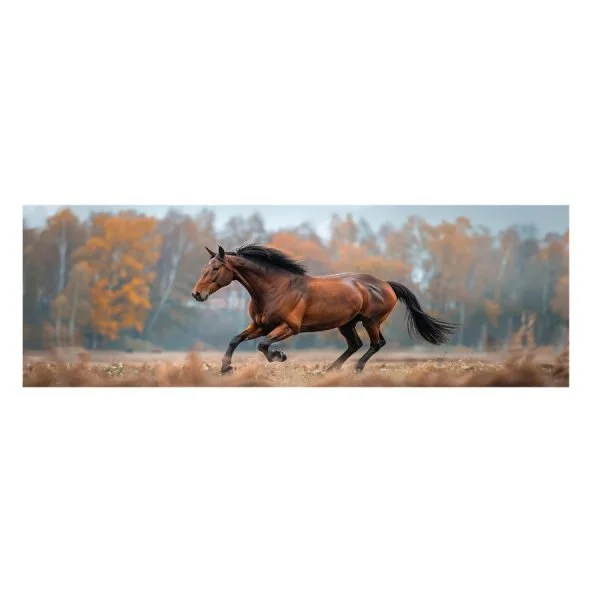 JV6208-STABLES-40X120-7-600x600.jpg