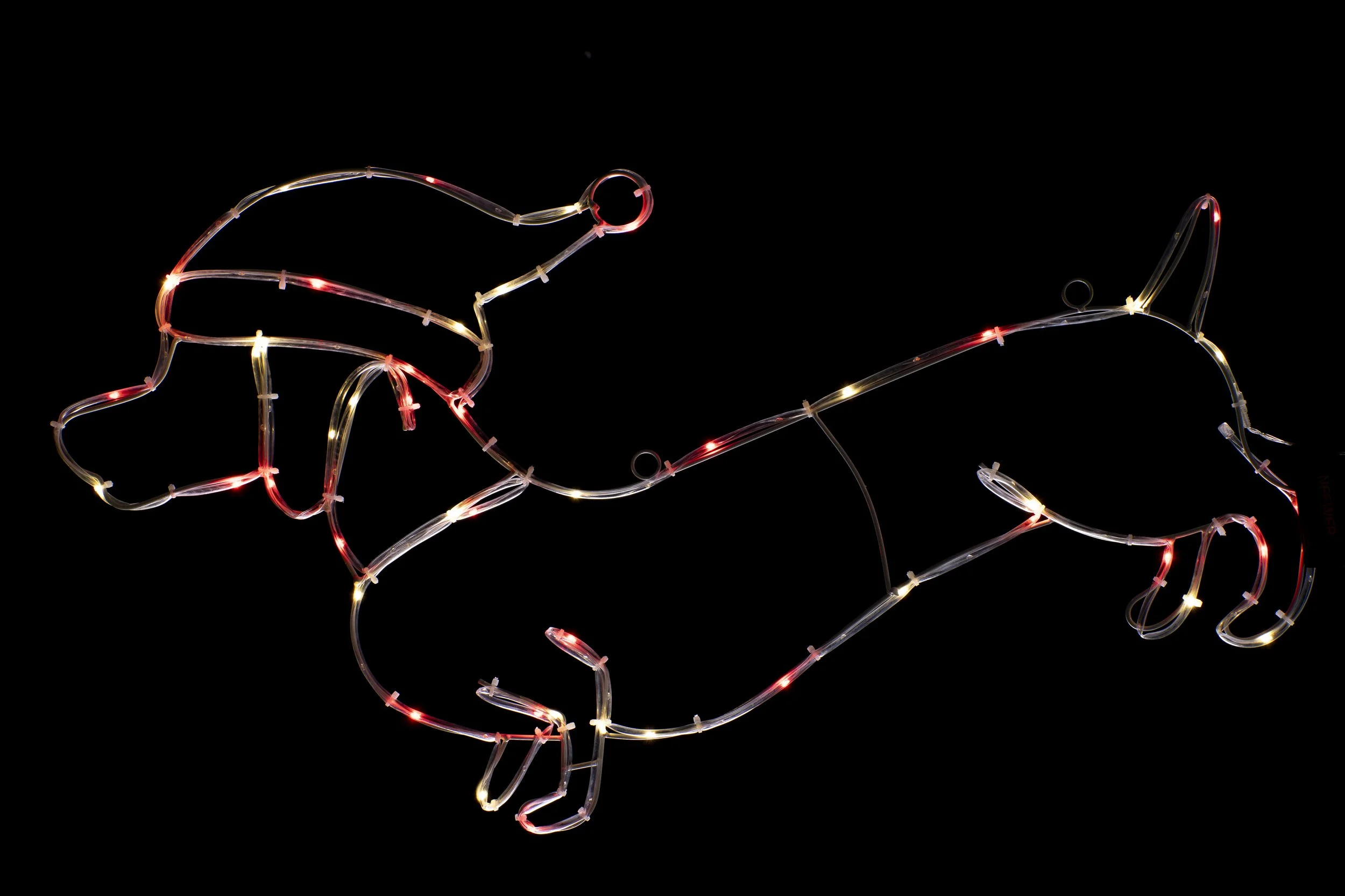 XL0000545 (2).jpg