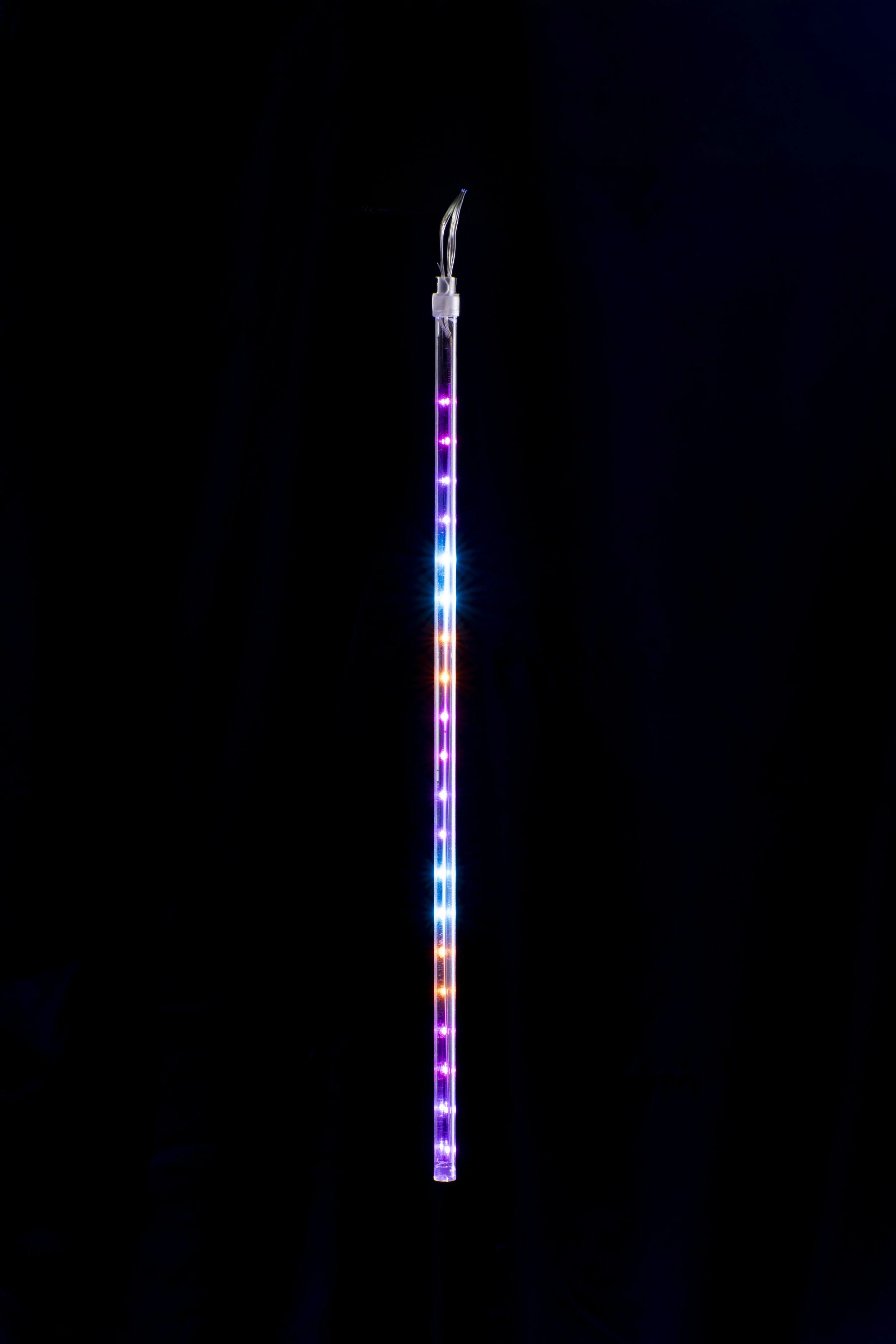 XL0000580 (1).jpg