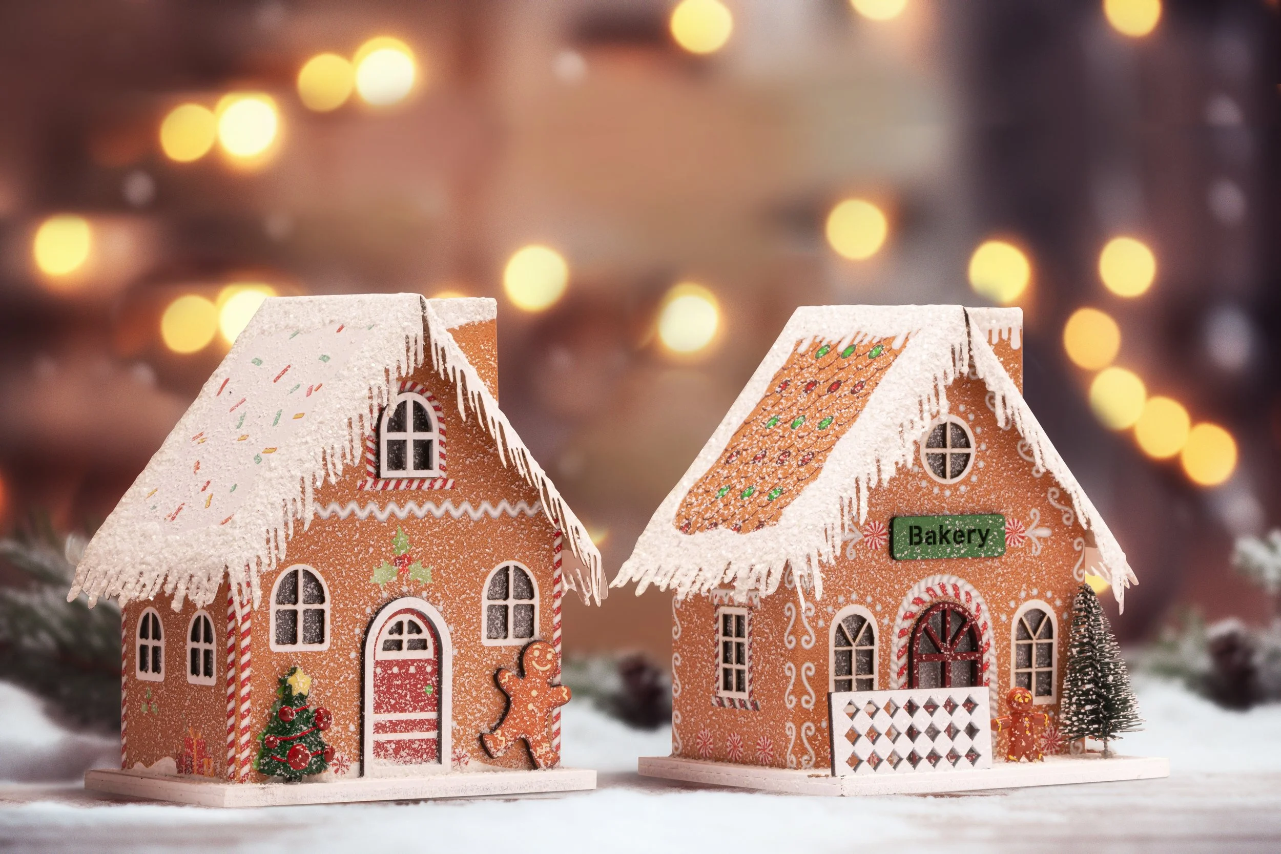 Gingberbread Snowy House