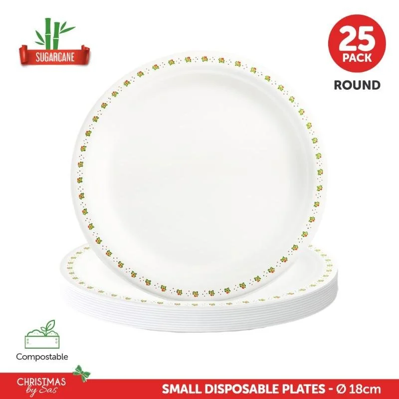Eco-Friendly Small Disposable Plates - Holly Design - 25 Pack