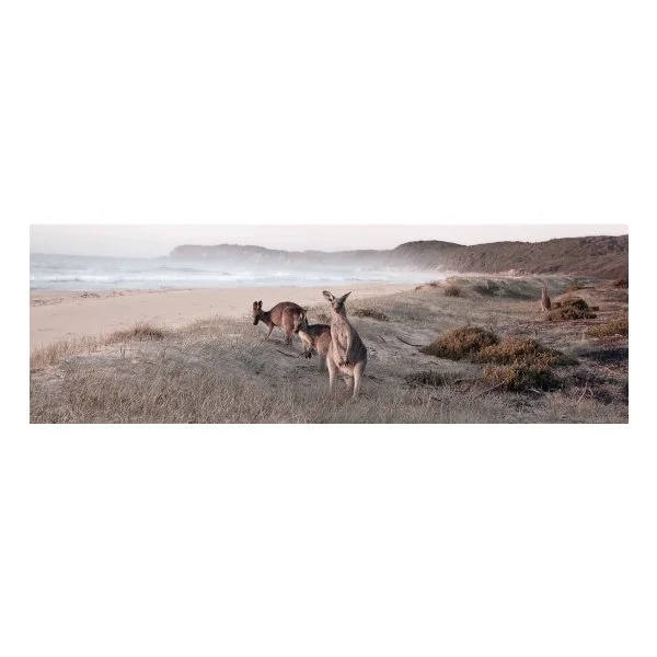 THISISAUSTRALIA_40X120CM_JV5731_6.jpg